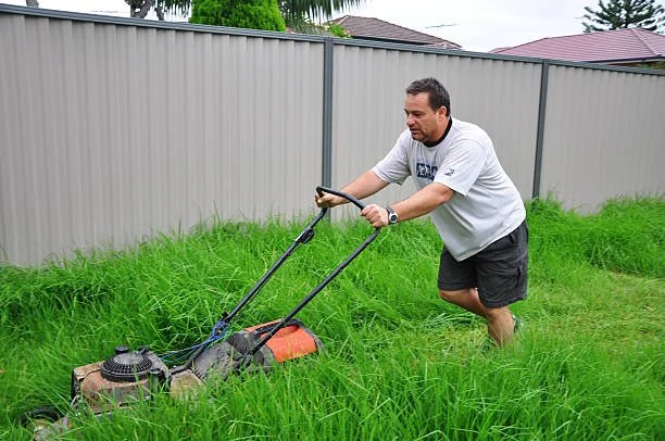 10 Summer Lawn Care Mistakes Colorado Homeowners Make