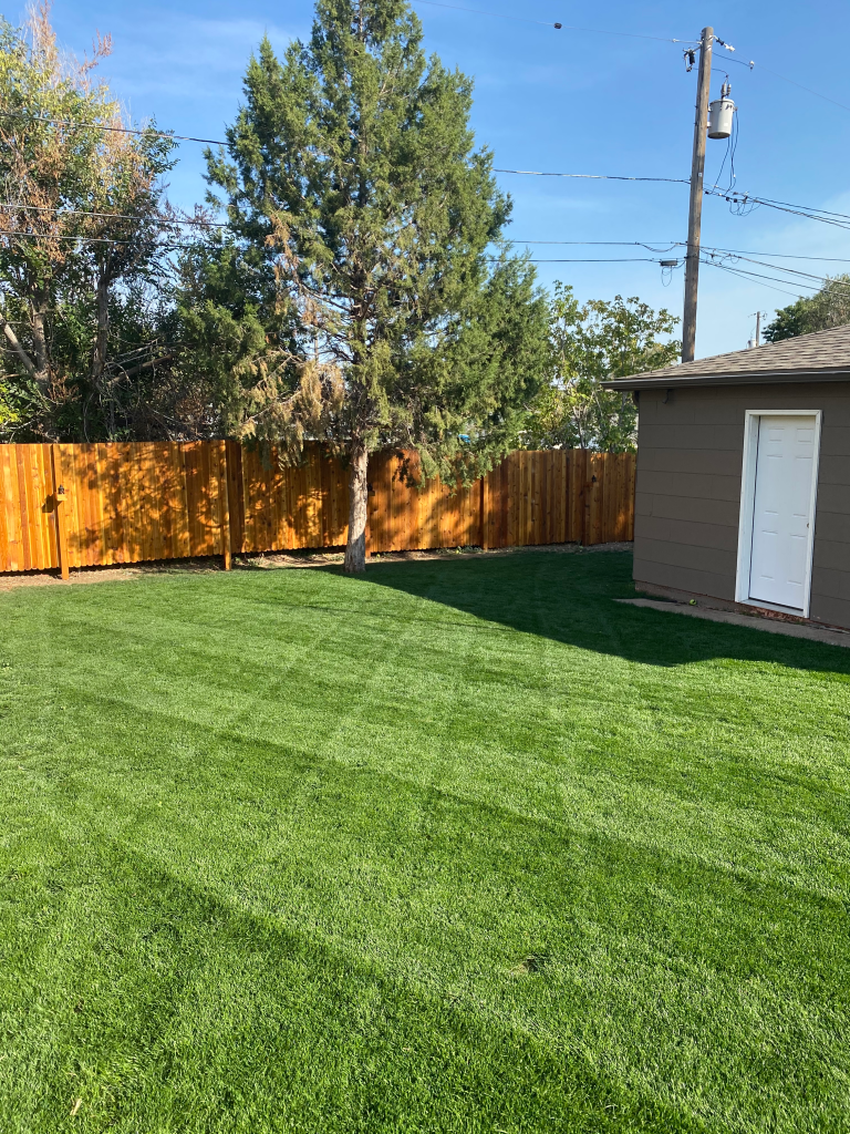 How to Repair Summer Lawn Damage in Colorado
