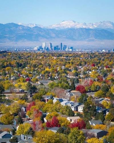 Why Fall Is the Most Important Season for Lawn Health