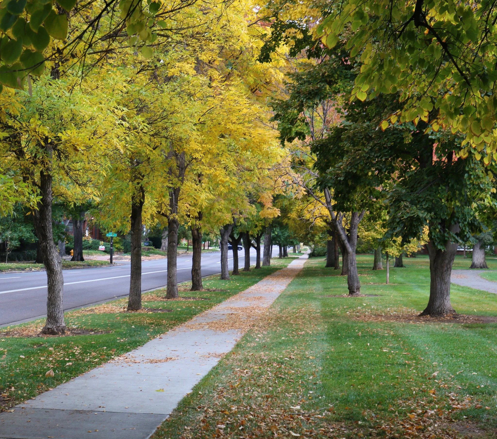 Fall Lawn Care Checklist for Colorado