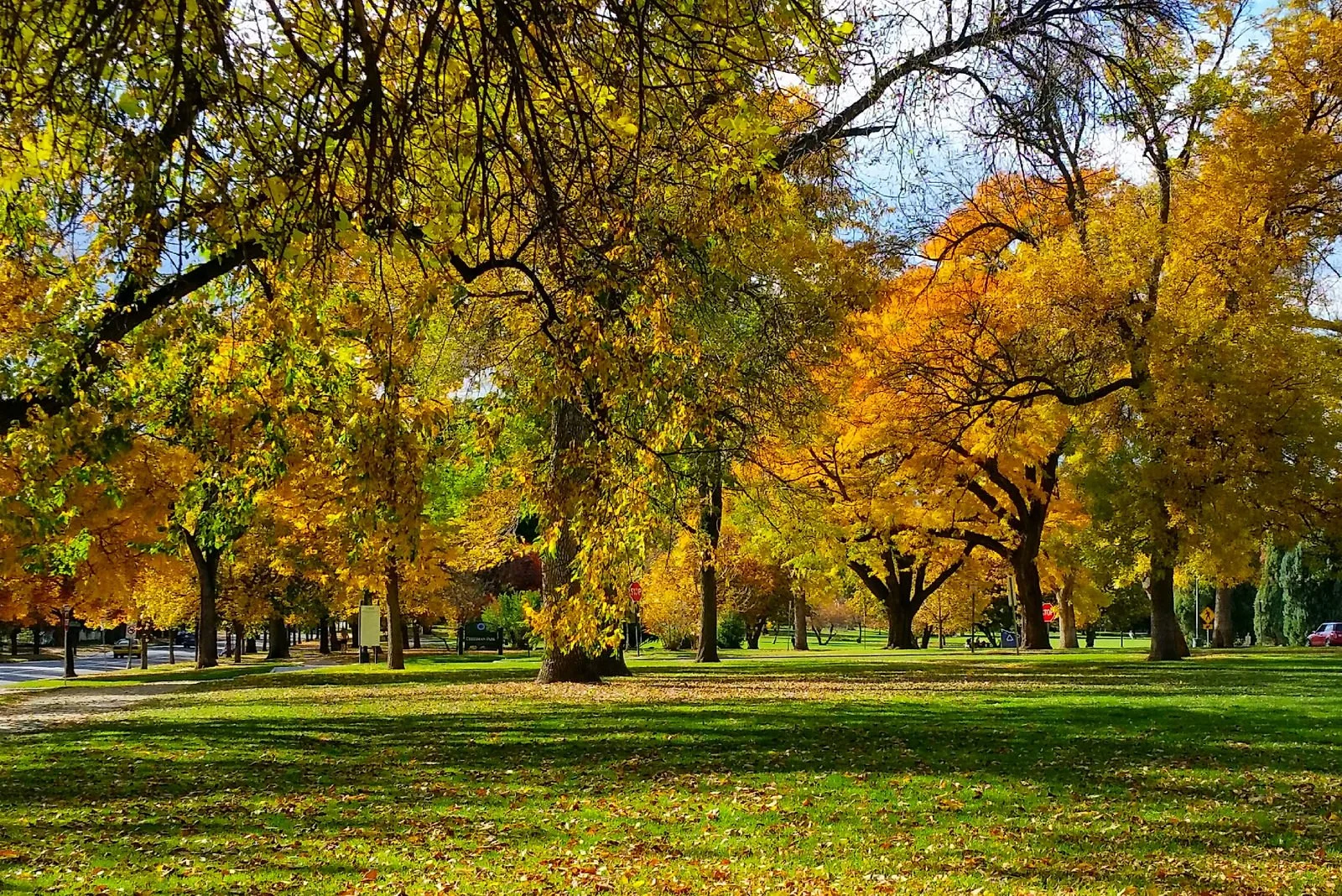 Fall Lawn Care Services You Need in Colorado