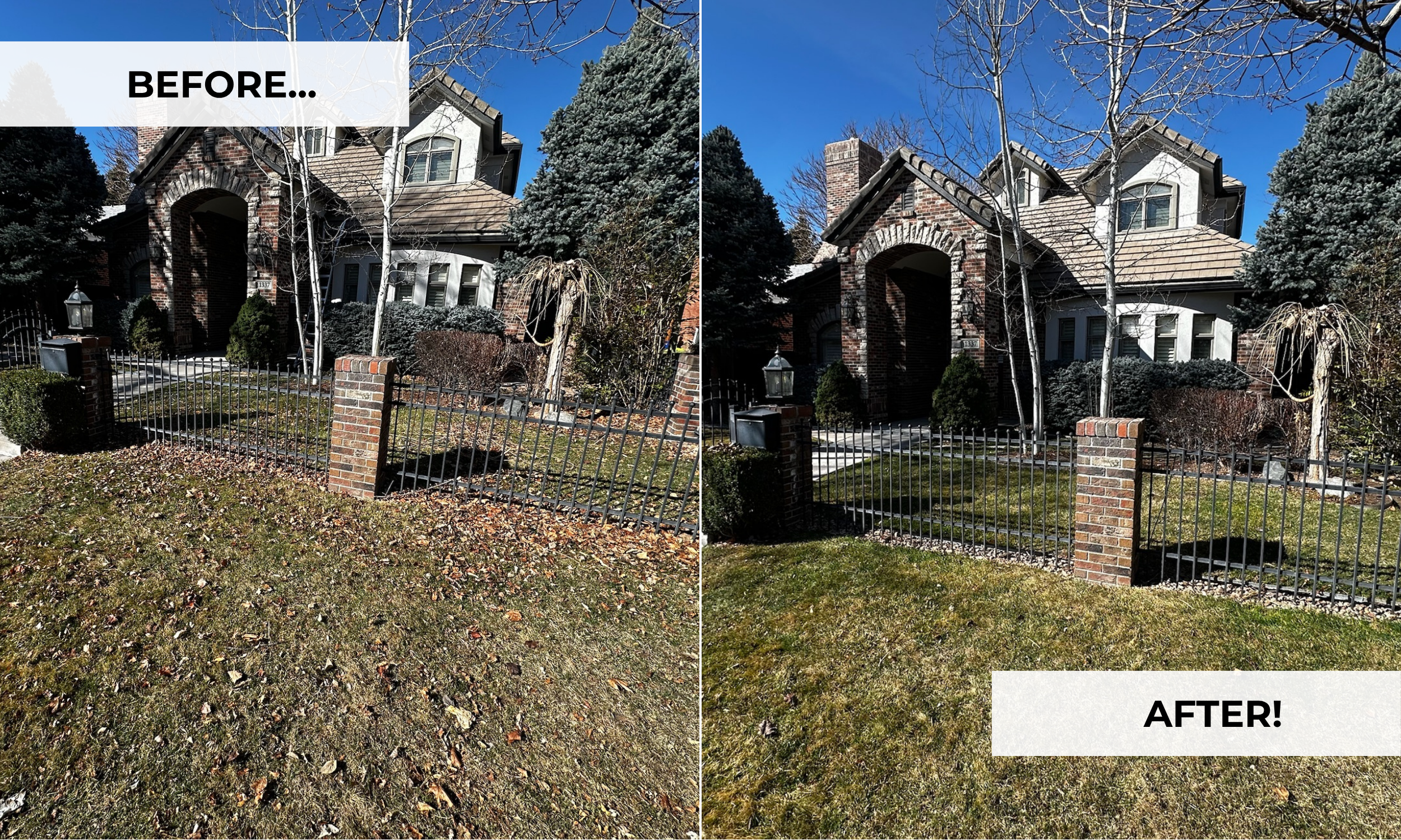 Why Fall Cleanups Are Important for Your Colorado Lawn