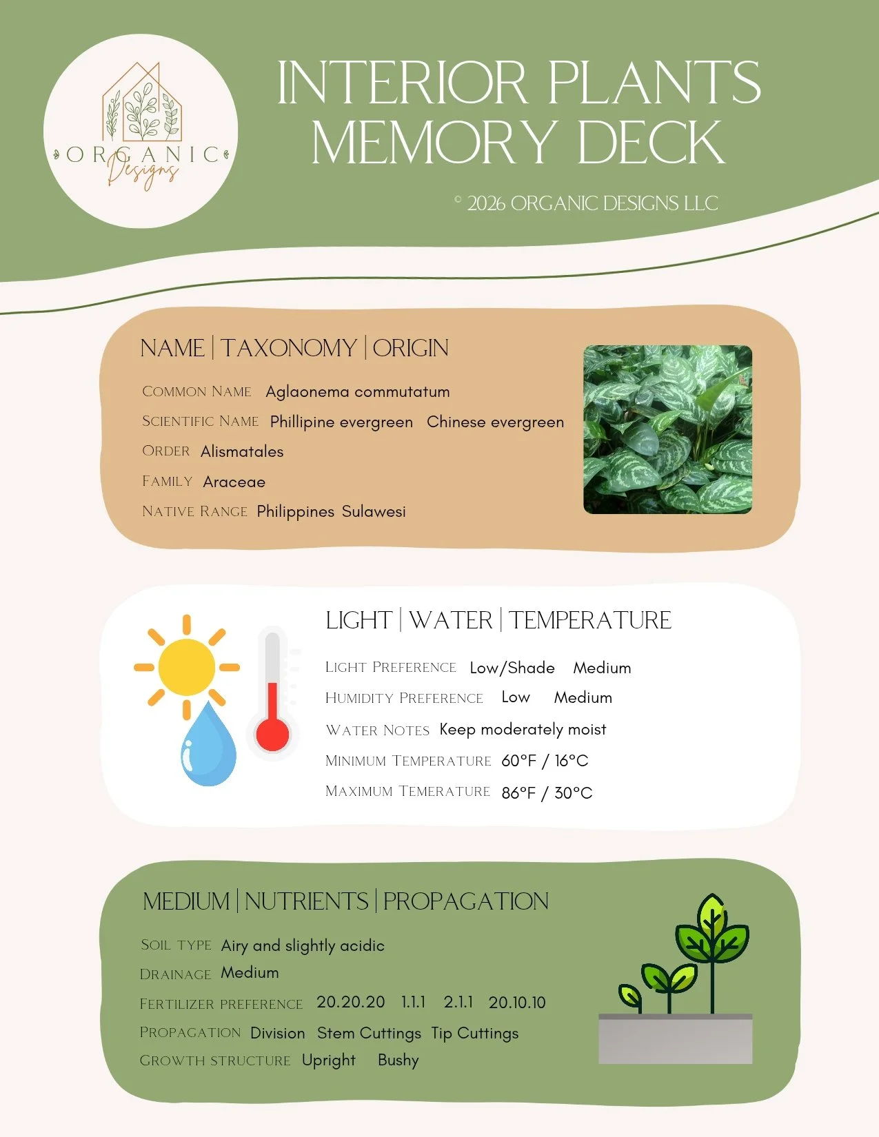 Organic Designs Interior Plants Memory Deck sample imagep1.jpg