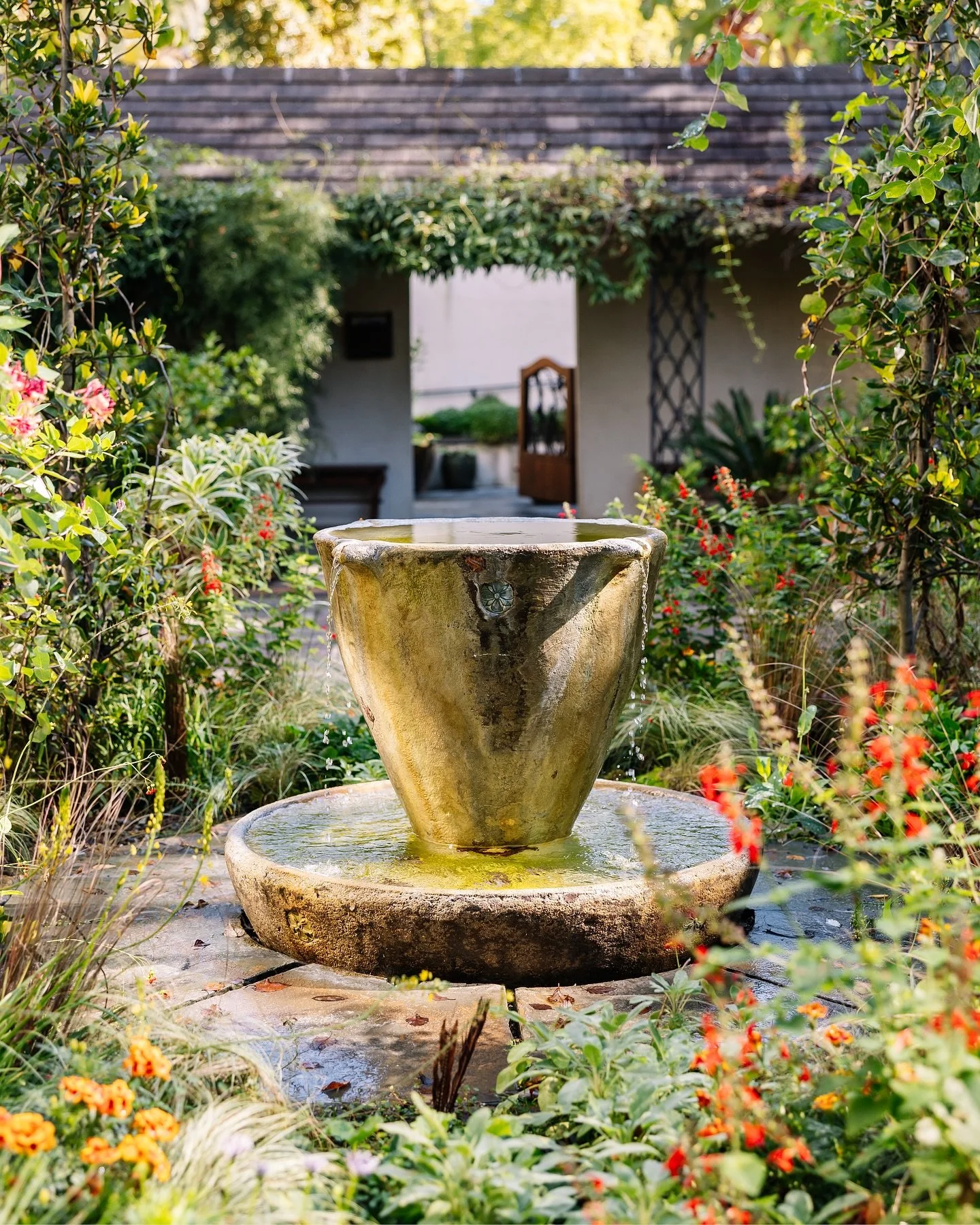Chanticleer: A Pleasure Garden located in Wayne, Pennsylvania photographed at the beginning of October 2024.

#chanticleergarden #gardenphotographer #americasgardencapital