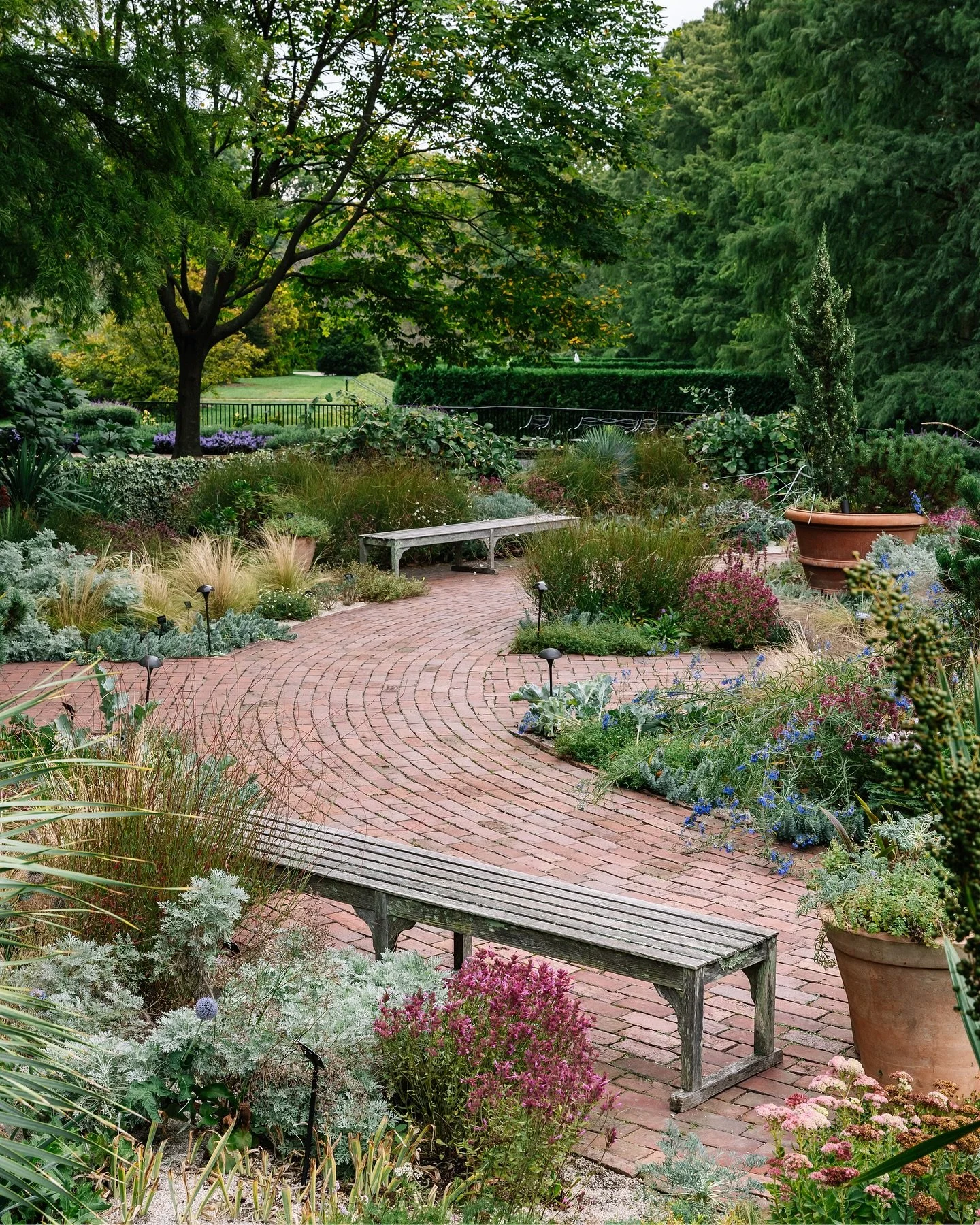 Theatre Garden &ndash; Longwood Gardens. September 2024.

#longwoodgardens #gardenphotographer #botanicalgardenphotographer