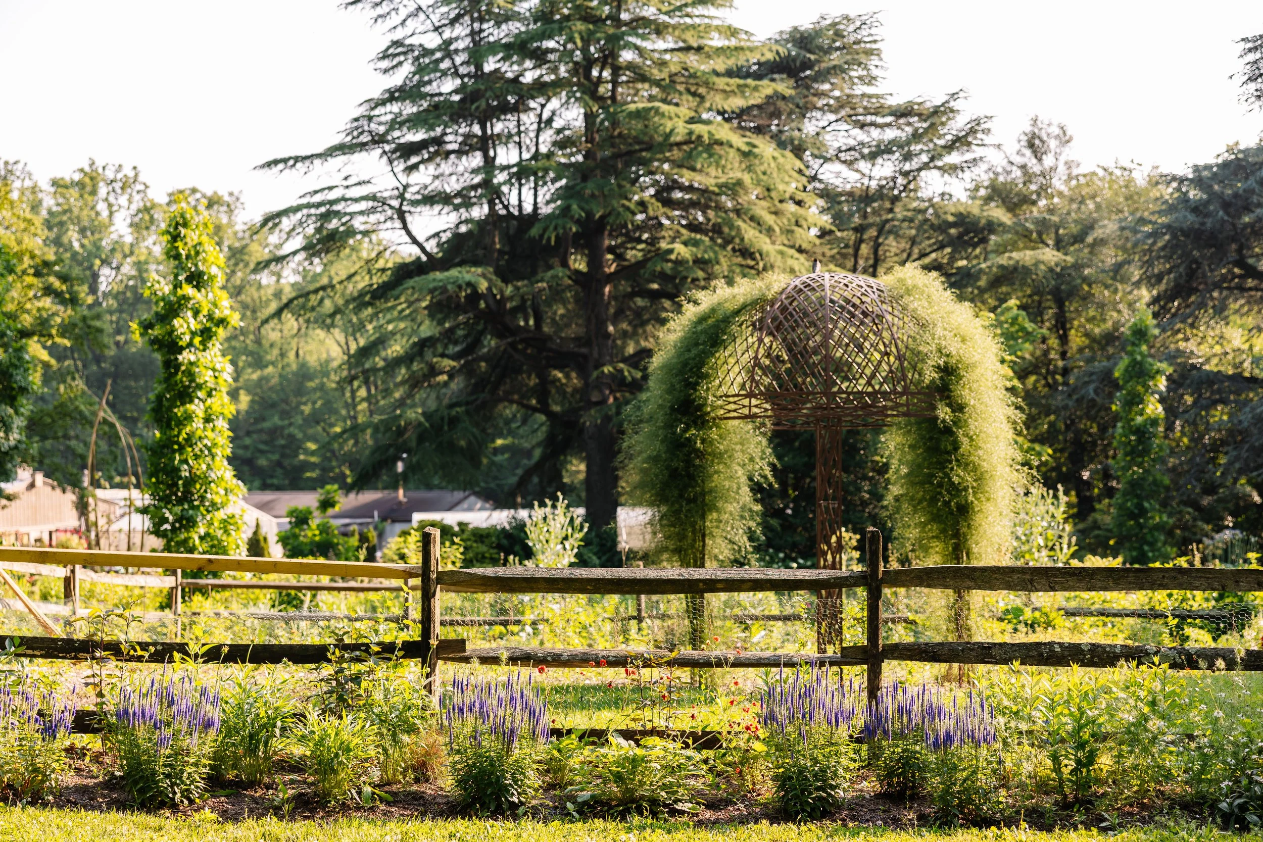 PHSMeadowbrookFarm-June2025-GardenPhotographer-BeccaMathiasMeadowbrookFarm-June2025-BeccaMathias-9993.jpg