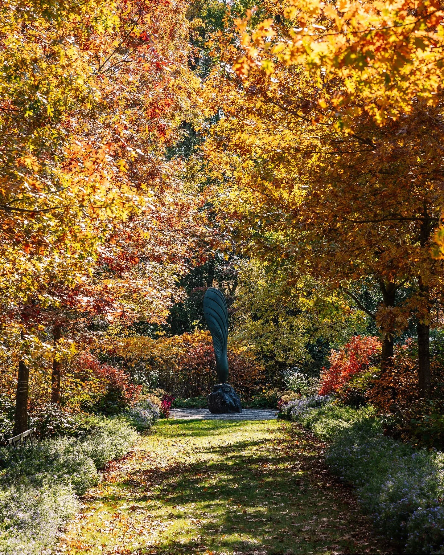 Autumn color at Mt. Cuba Center in Hockessin, Delaware.

Photographed on November 2, 2025.

🏷️: Brandywine Valley, America&rsquo;s Garden Capital, garden photography, garden photographer, native plants, nature photography, Delaware photographer