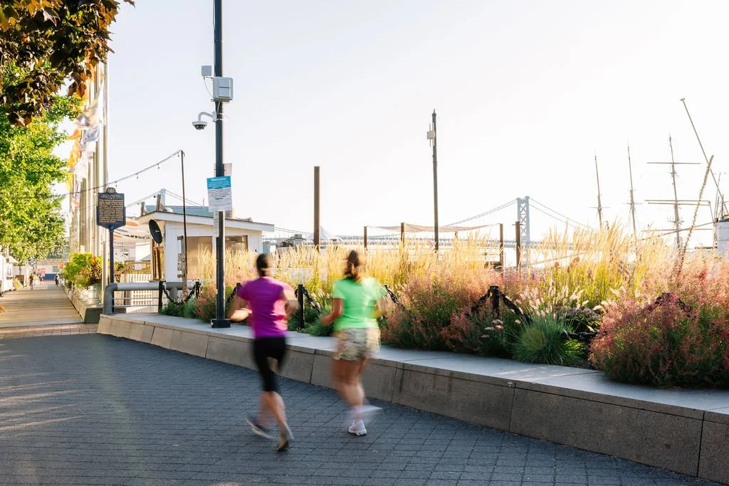PHSPhiladelphiaWaterfrontGardens-GardenPhotographer-BeccaMathiasPhillyWaterfrontGardens-BeccaMathias-9236.jpg
