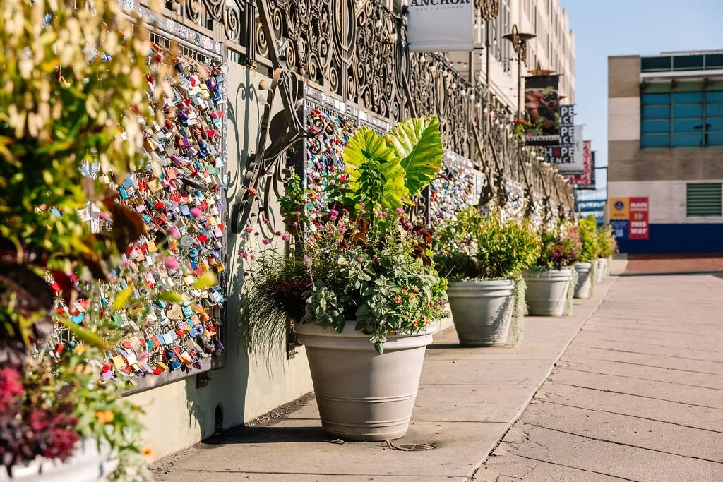 PHSPhiladelphiaWaterfrontGardens-GardenPhotographer-BeccaMathiasPhillyWaterfrontGardens-BeccaMathias-9441.jpg
