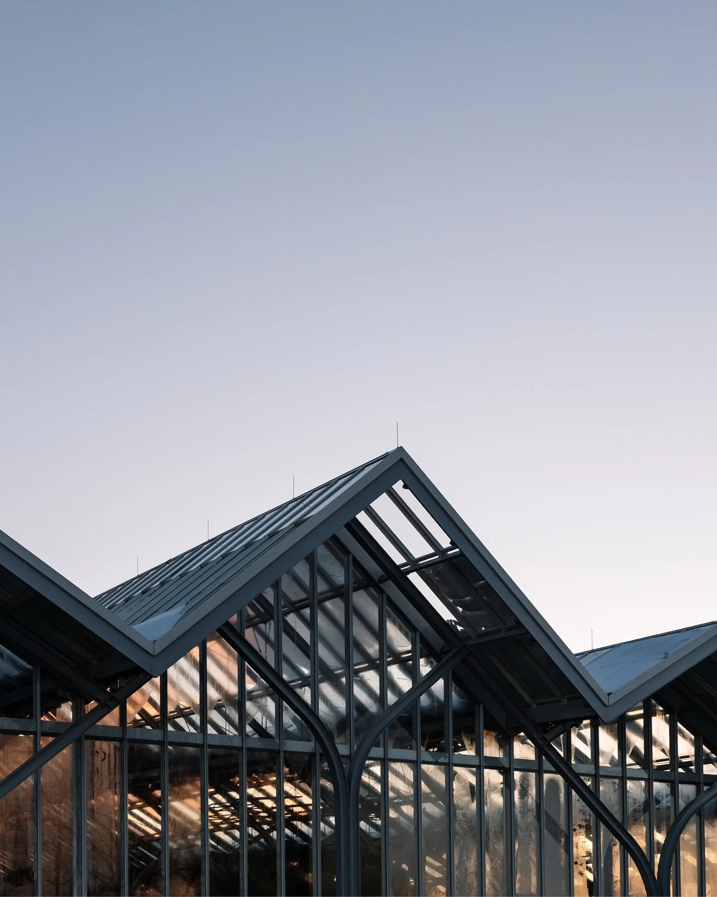 Late January scenes from Longwood Gardens &ndash; used for social media, website, and promotional materials. 

I always enjoy photographing a mix of wide scenes, individual flowers, and textures of the Gardens. ✨

🏷️: garden photographer, America&rs