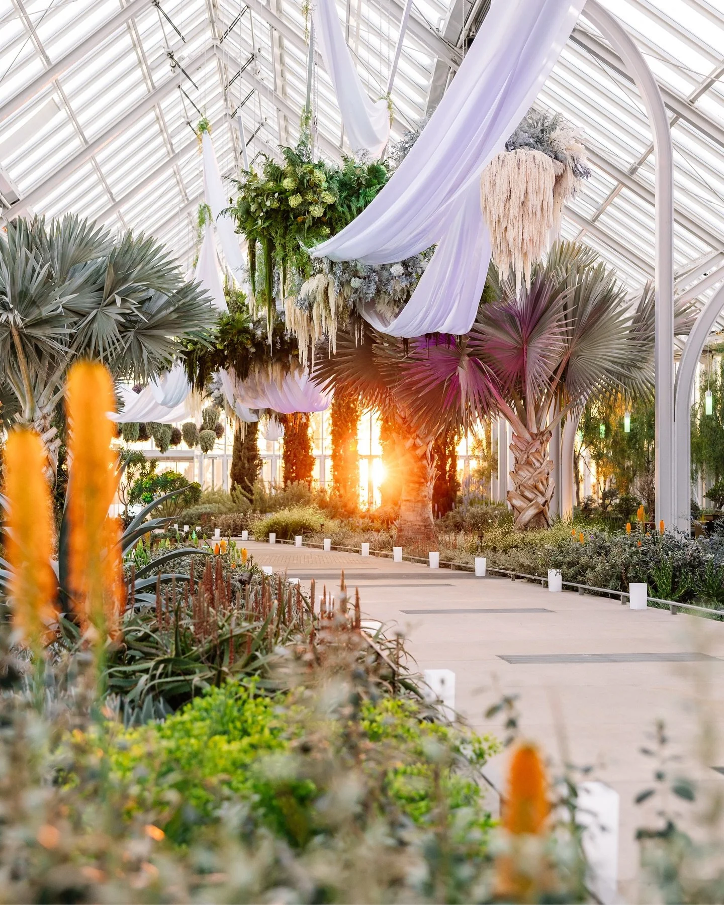 Golden hour to Garden Glow at Longwood Gardens &ndash; on display now Friday, Saturday, and Sunday evenings. 🌈✨

🏷️: Longwood Gardens photographer, garden photographer, display garden, botanical garden, America&rsquo;s Garden Capital, Brandywine Va