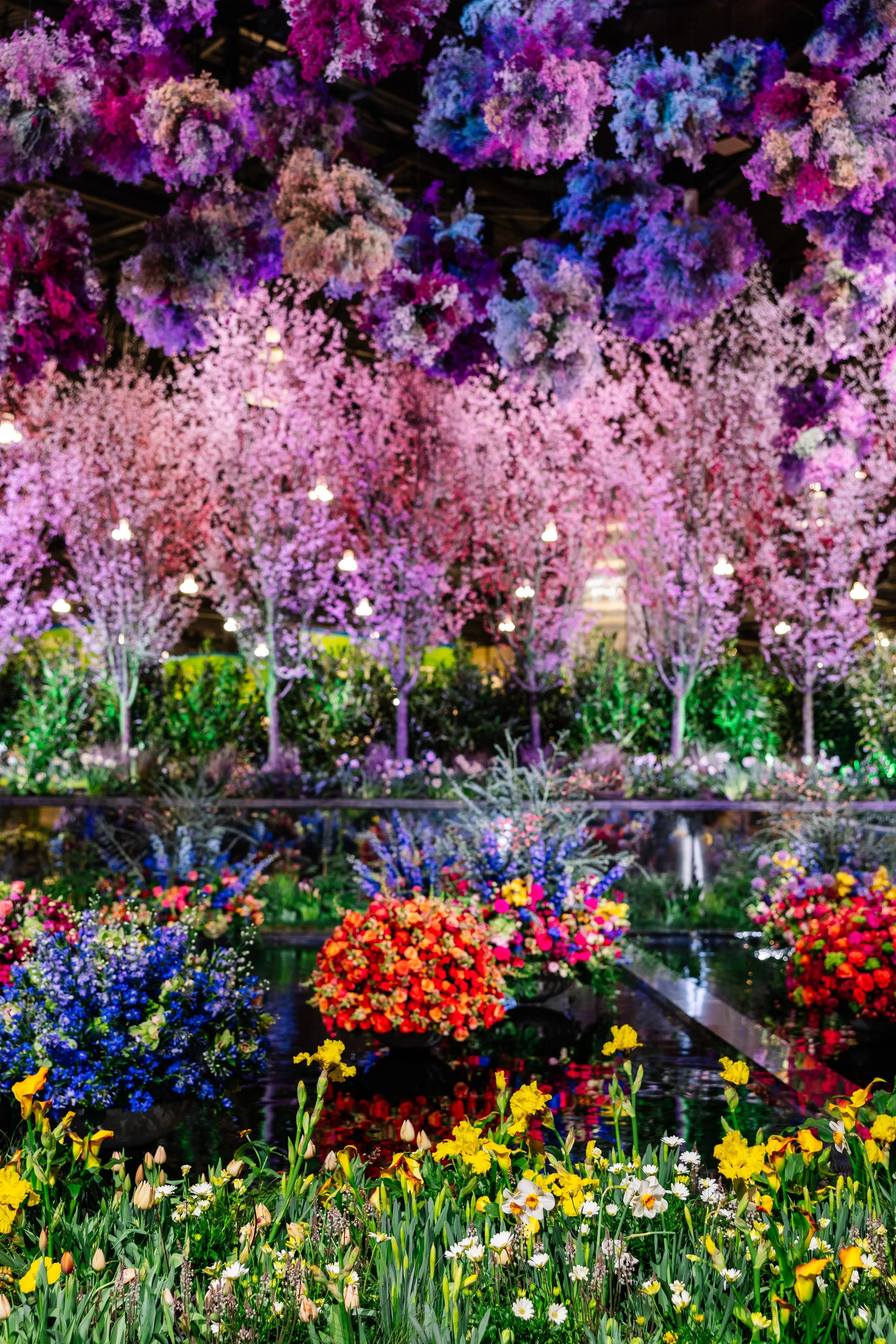 PHSFlowerShow24-BeccaMathias-9396.jpg