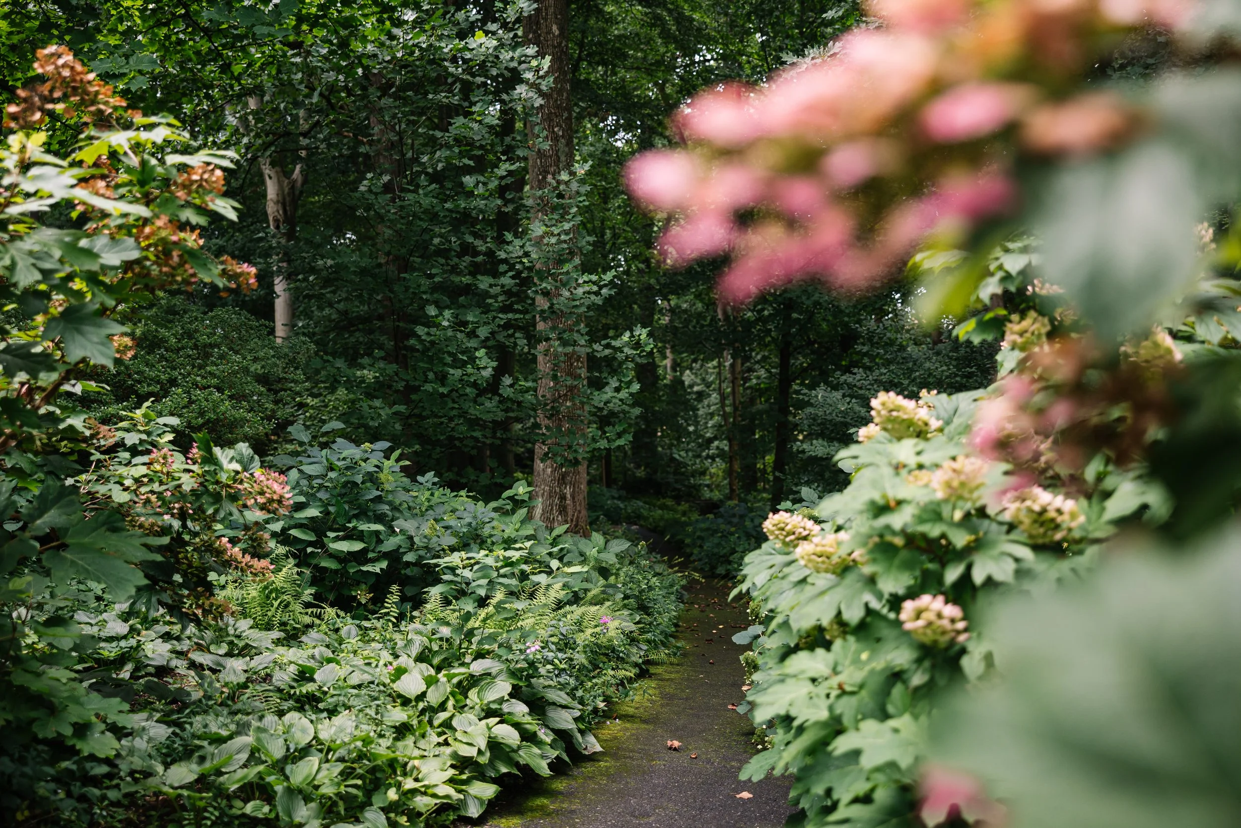 Winterthur-August2022-BeccaMathias-7846.jpg