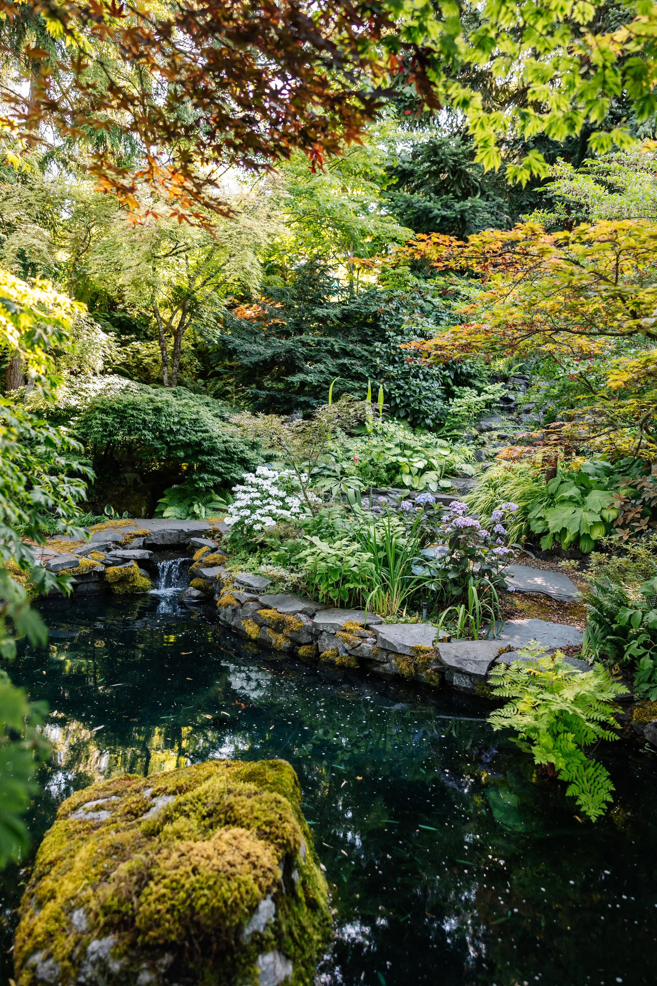 TheFling-PugetSound-July2024-BeccaMathias-5241.jpg