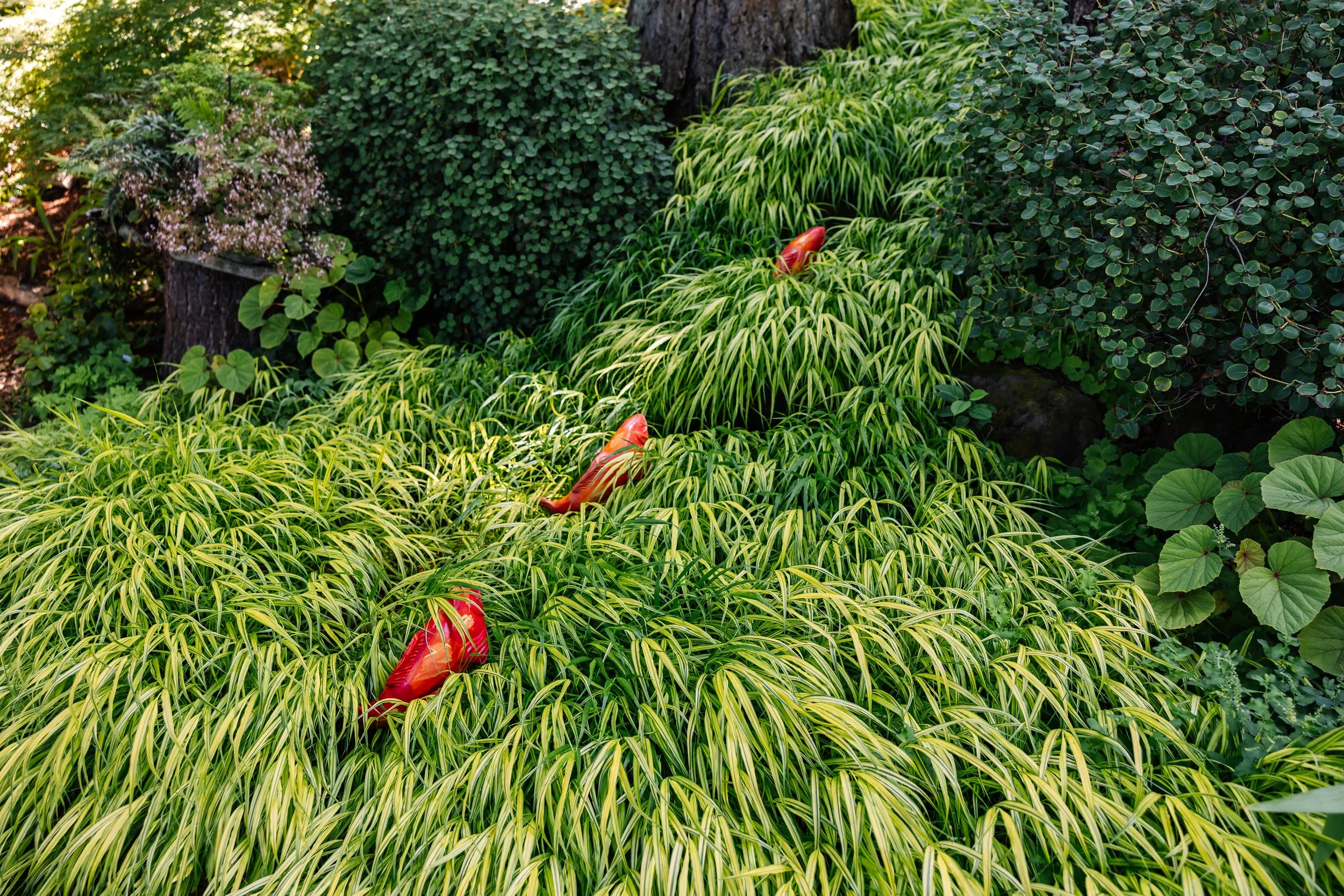 TheFling-PugetSound-July2024-BeccaMathias-4678.jpg