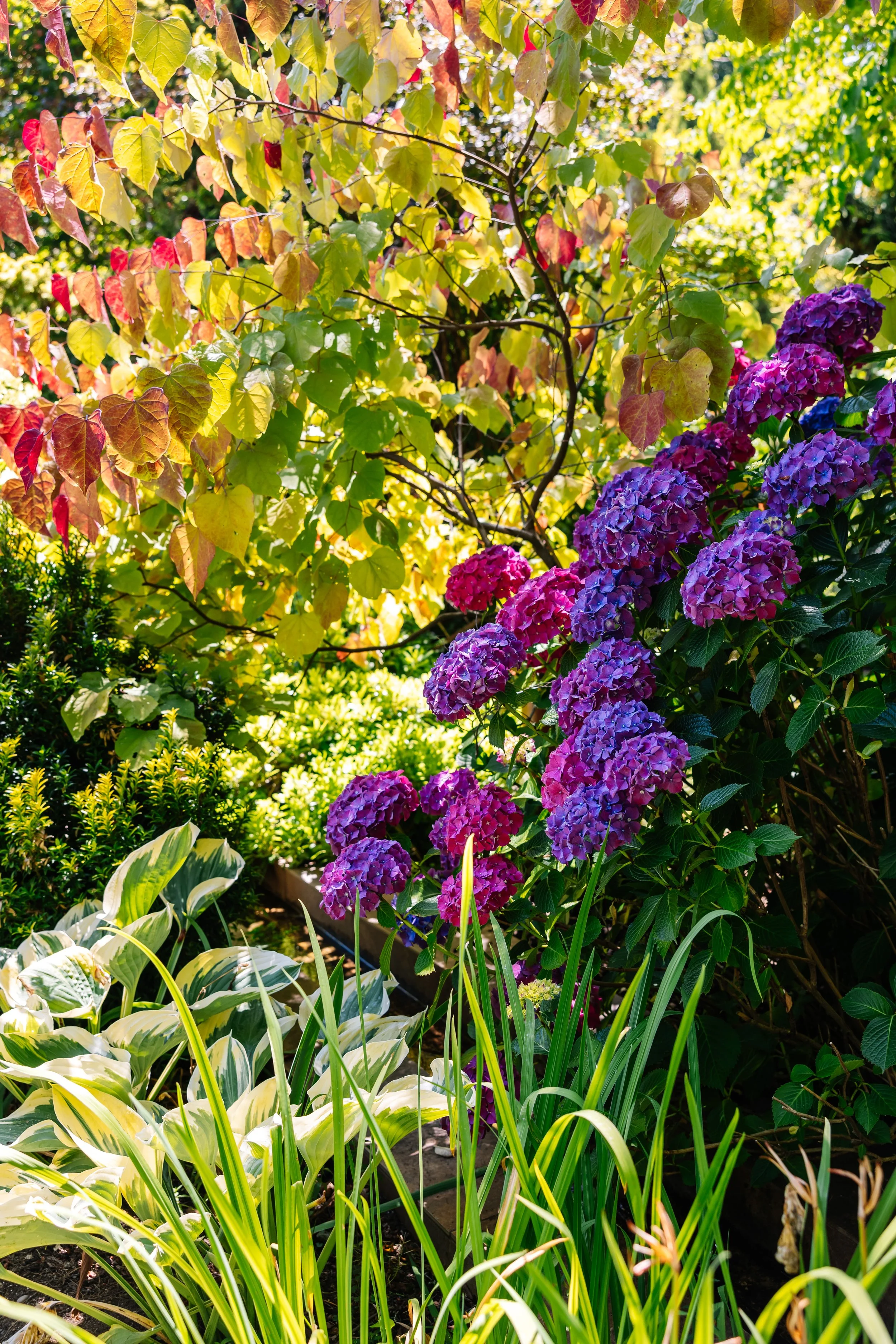 TheFling-PugetSound-July2024-BeccaMathias-4777.jpg
