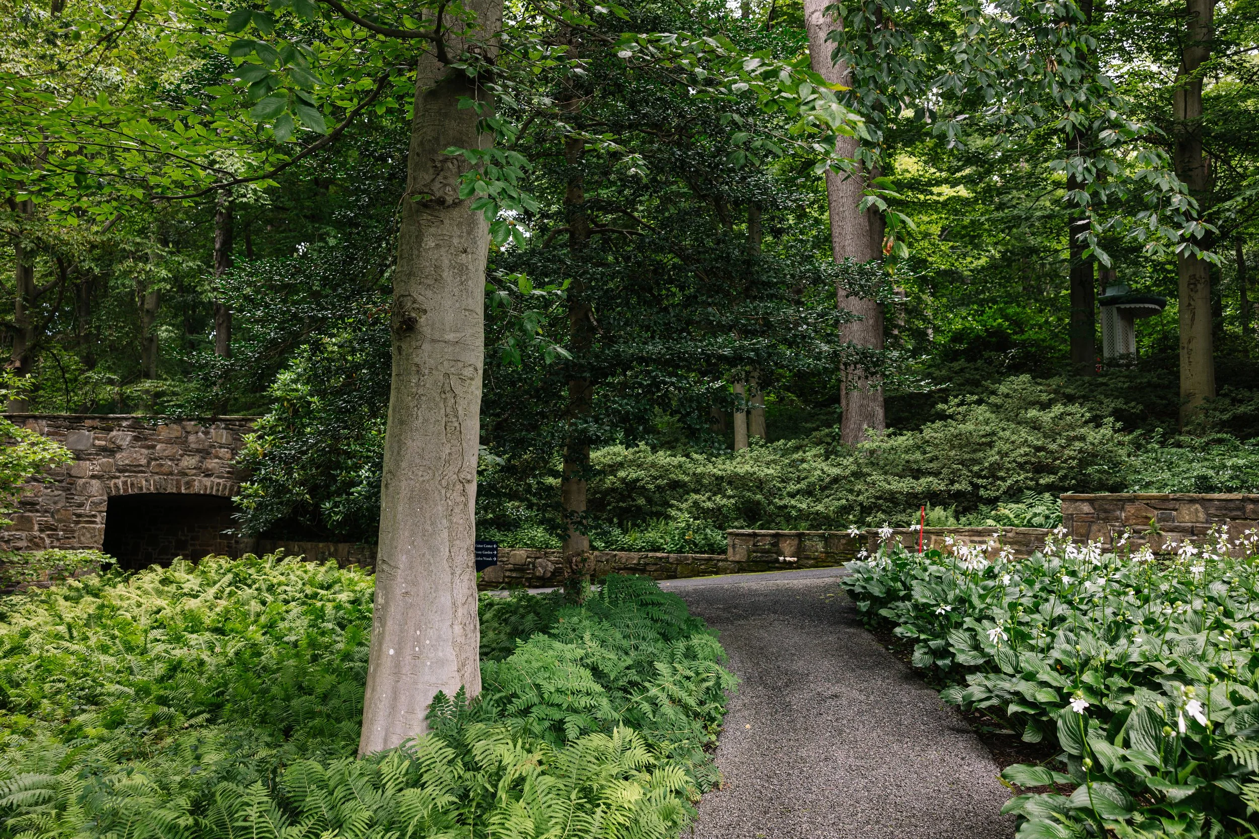 Winterthur-August2022-BeccaMathias-7829.jpg