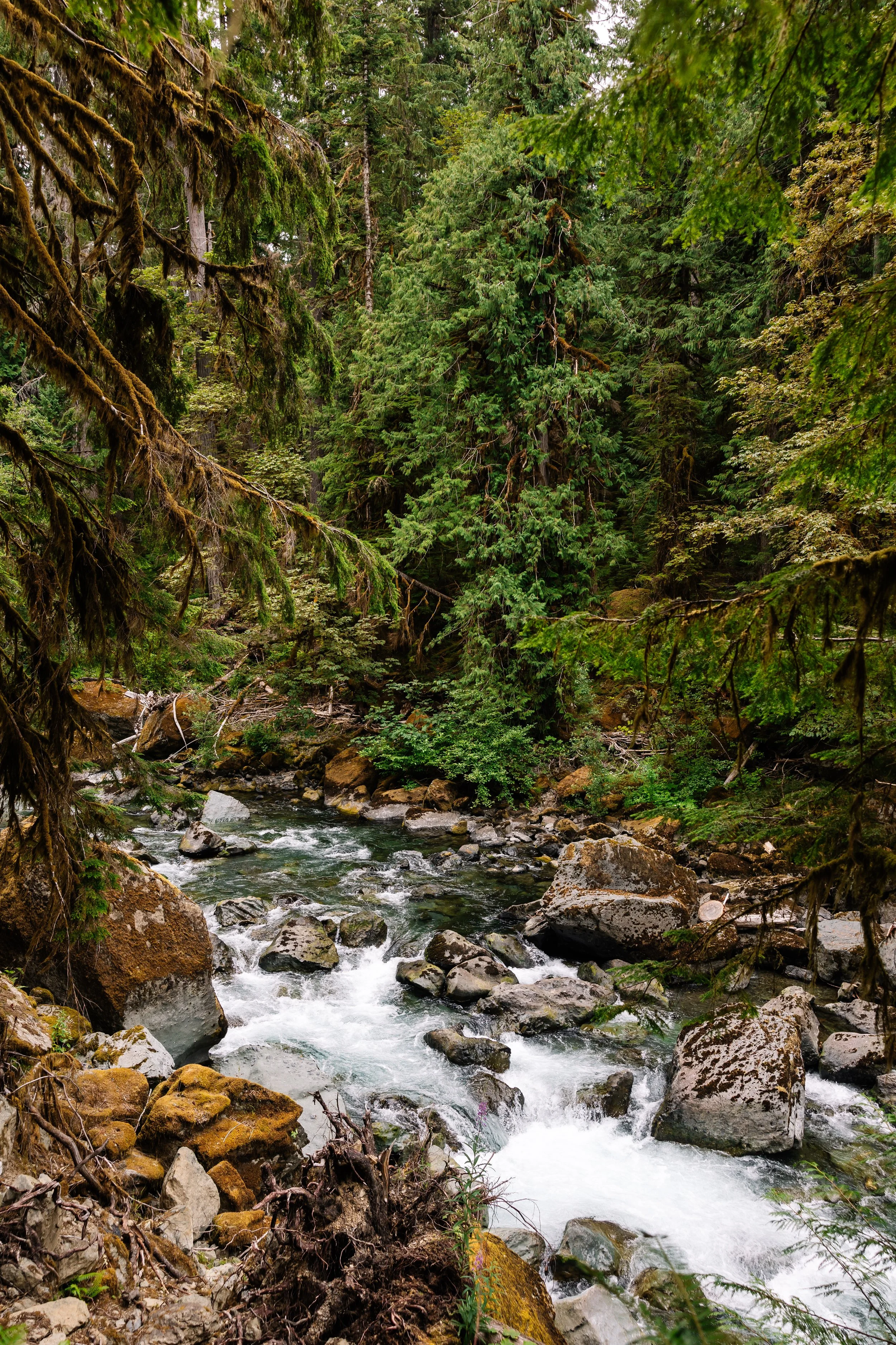 OlympicNPS-BeccaMathias-4477.jpg
