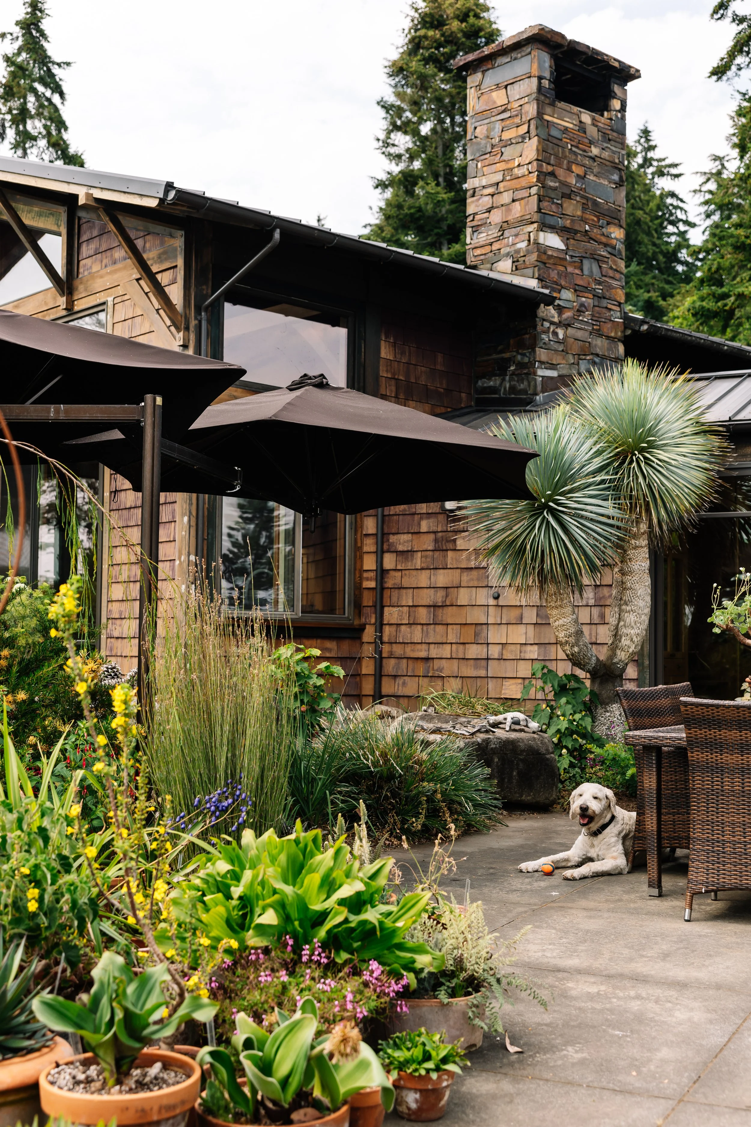 TheFling-PugetSound-July2024-BeccaMathias-5547.jpg