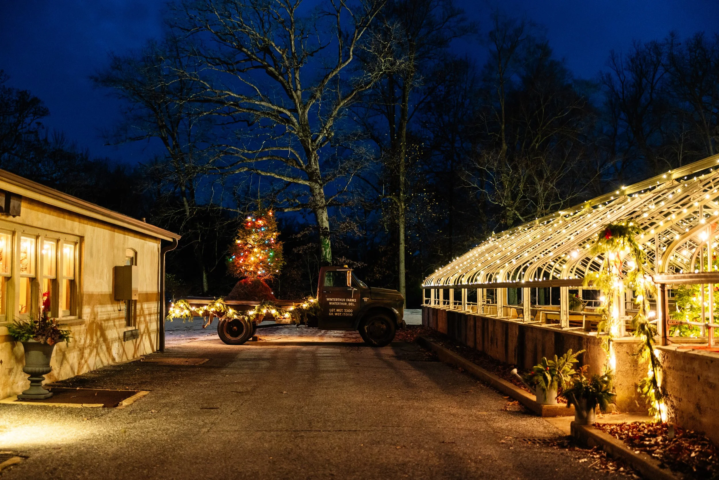 Mathias_Yuletide_11-2024-8880.jpg
