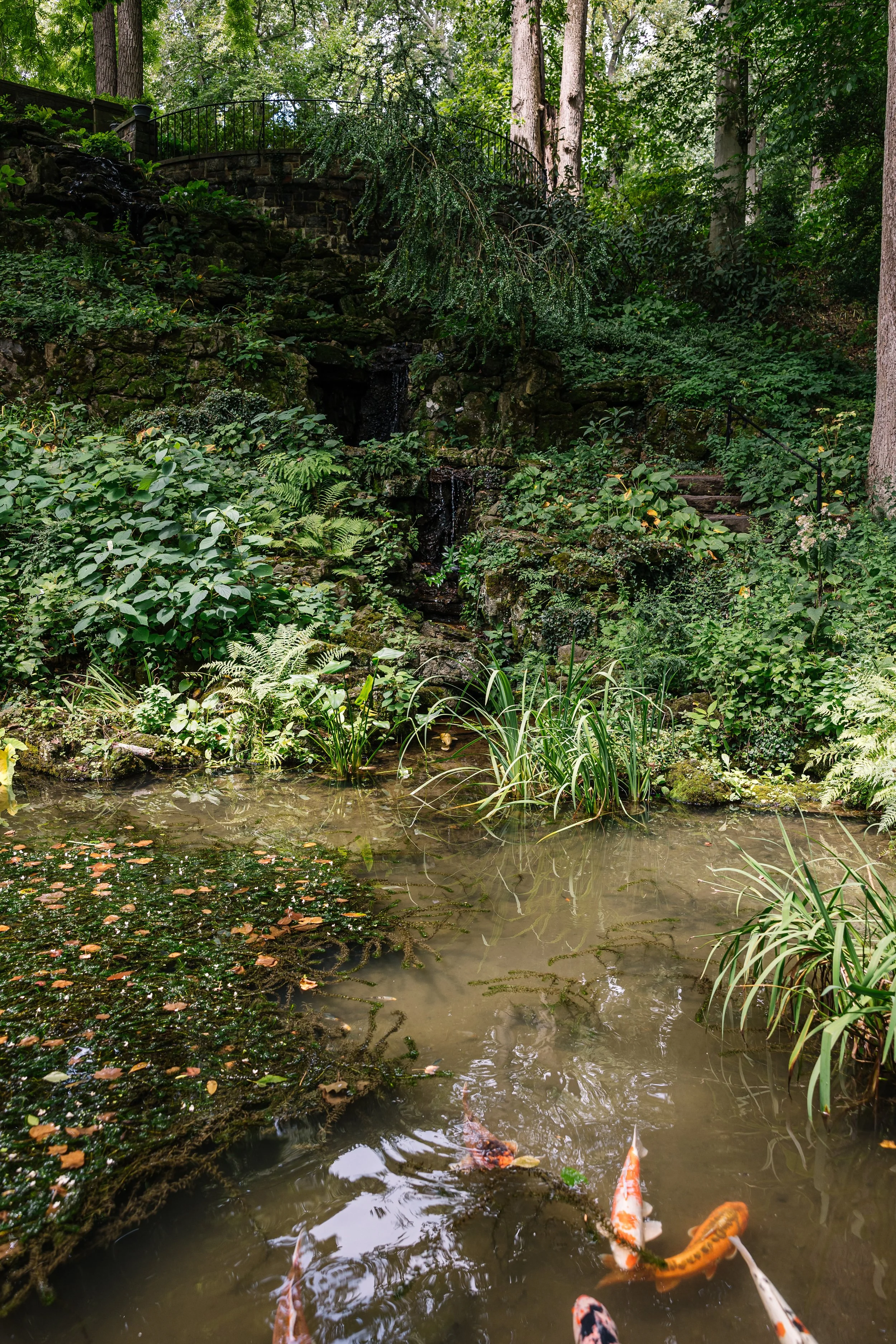 Winterthur-August2022-BeccaMathias-8006.jpg