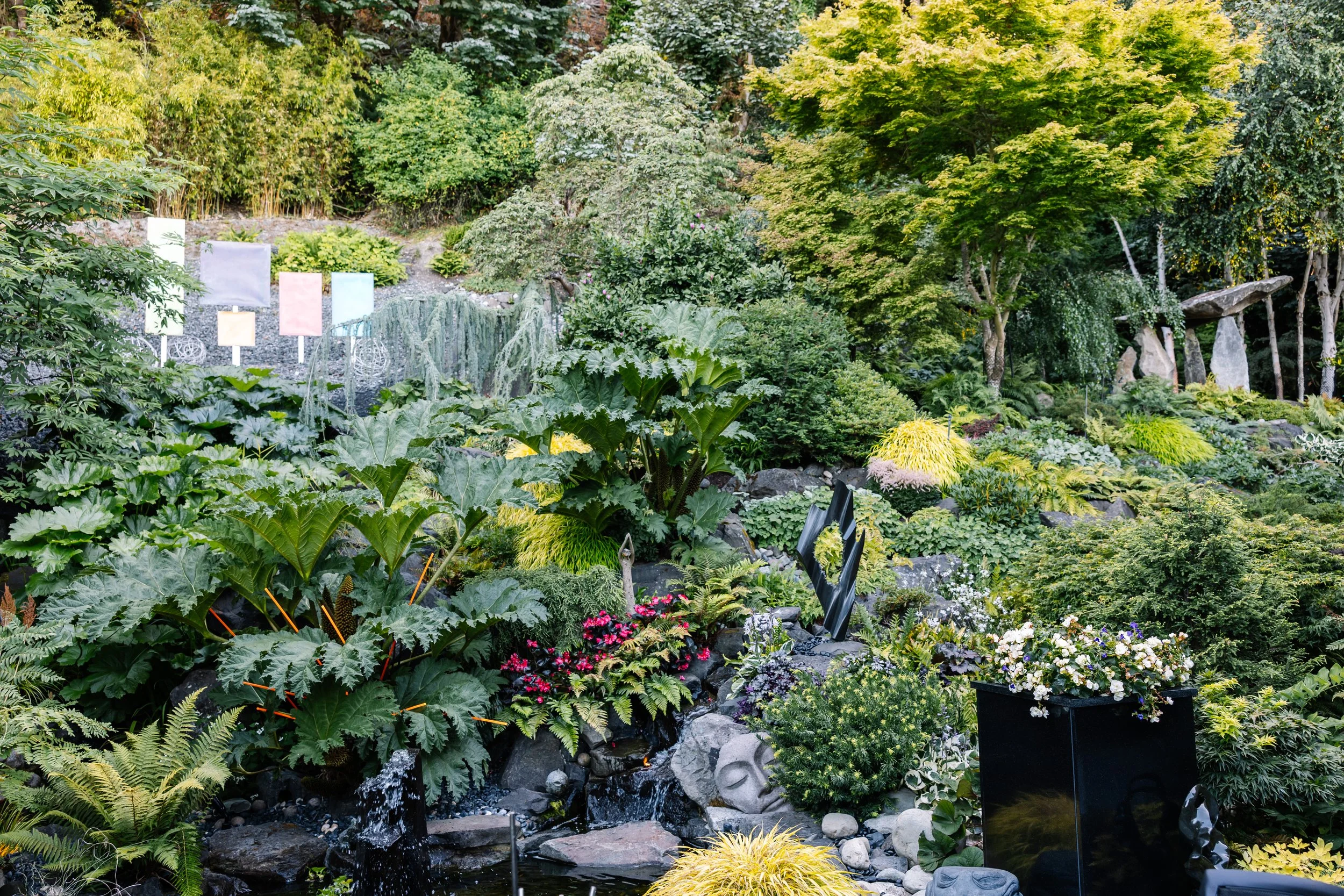 TheFling-PugetSound-July2024-BeccaMathias-4901.jpg