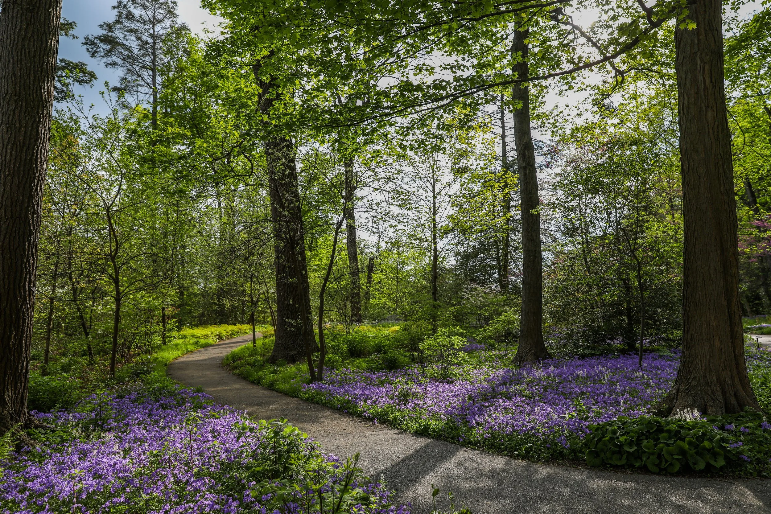 355134_Peirce_s Woods_Mathias_ Becca _Commissioned as of 4_2022_.jpg