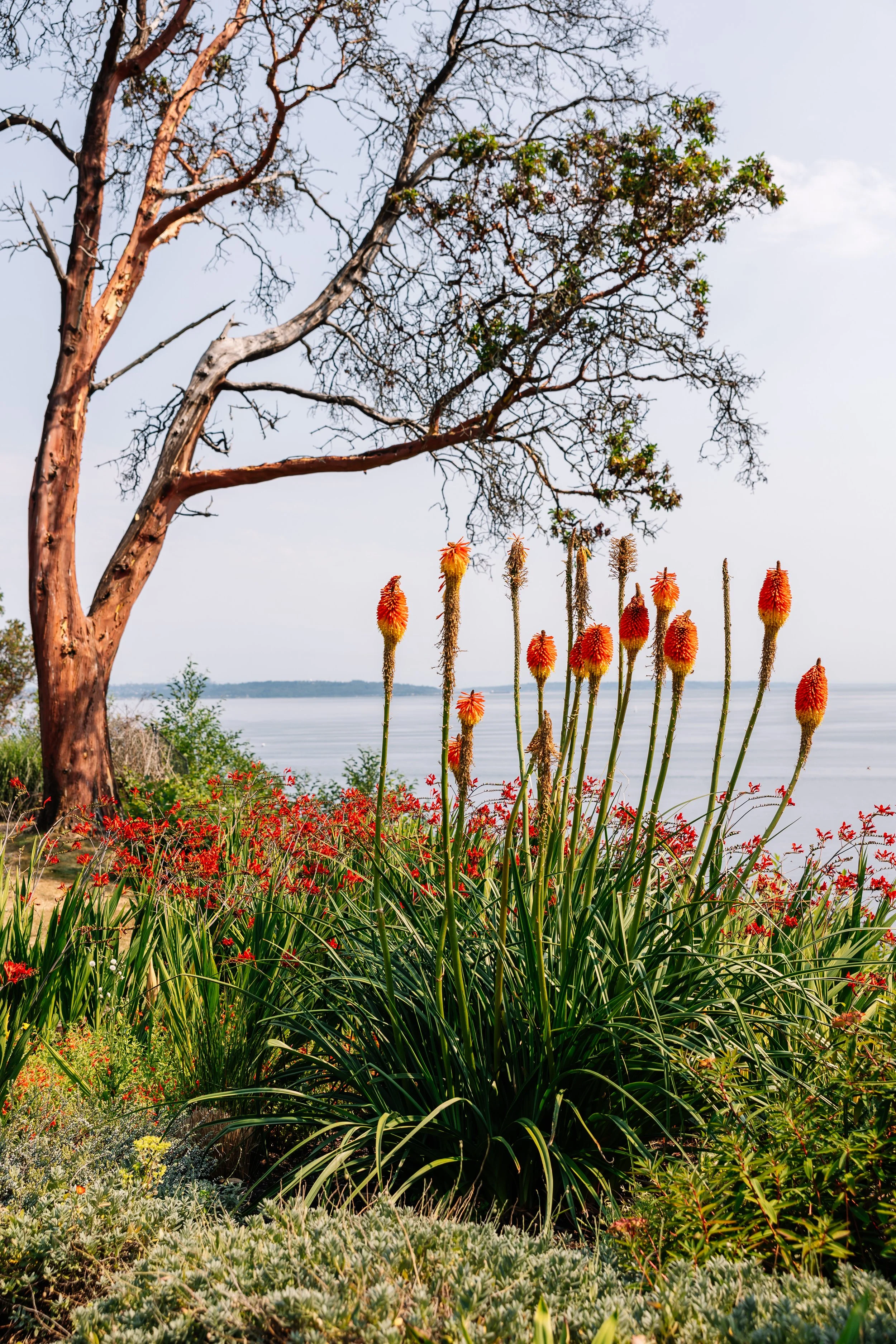 TheFling-PugetSound-July2024-BeccaMathias-5609.jpg