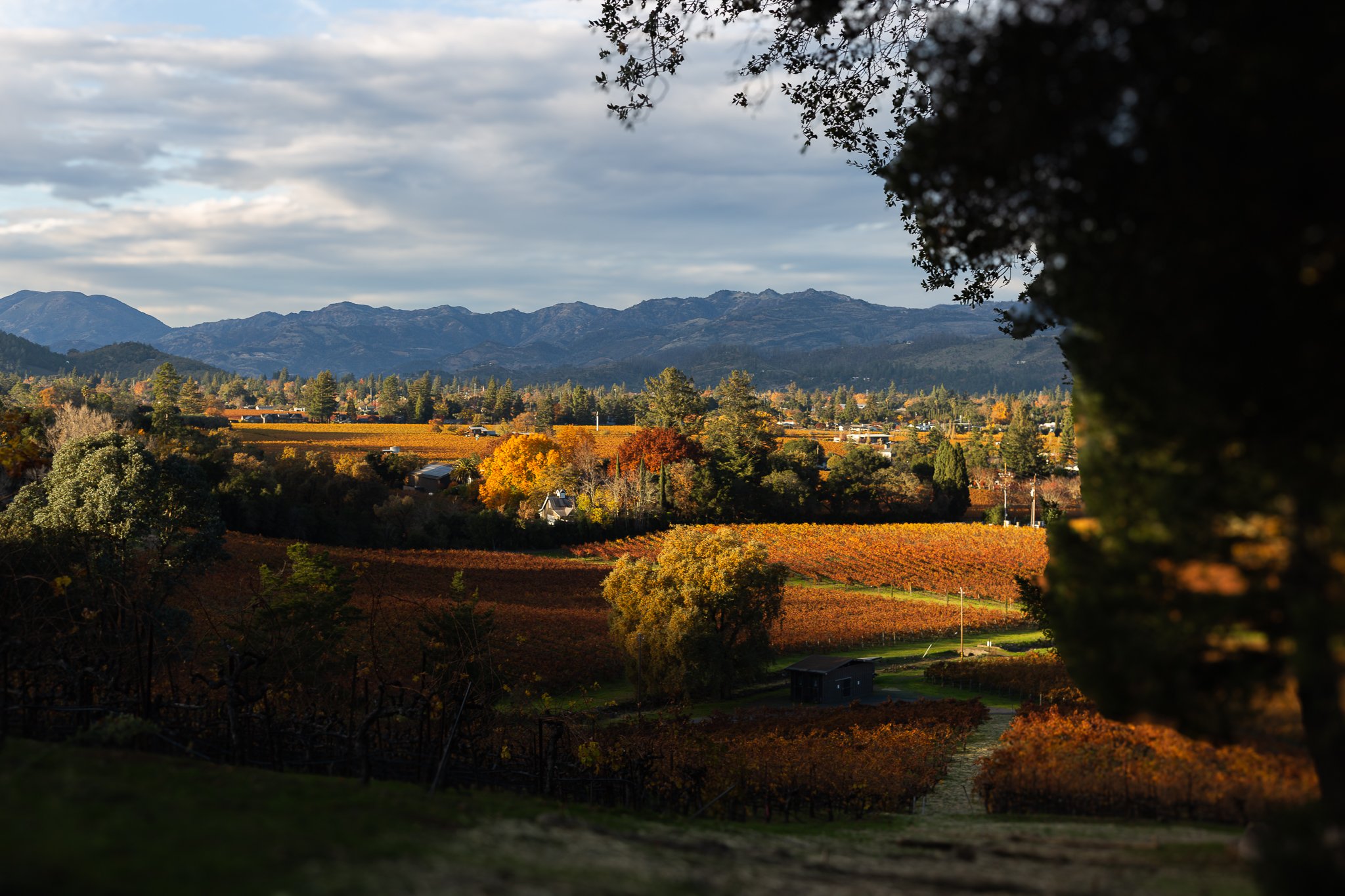 Cathiard-View.jpg