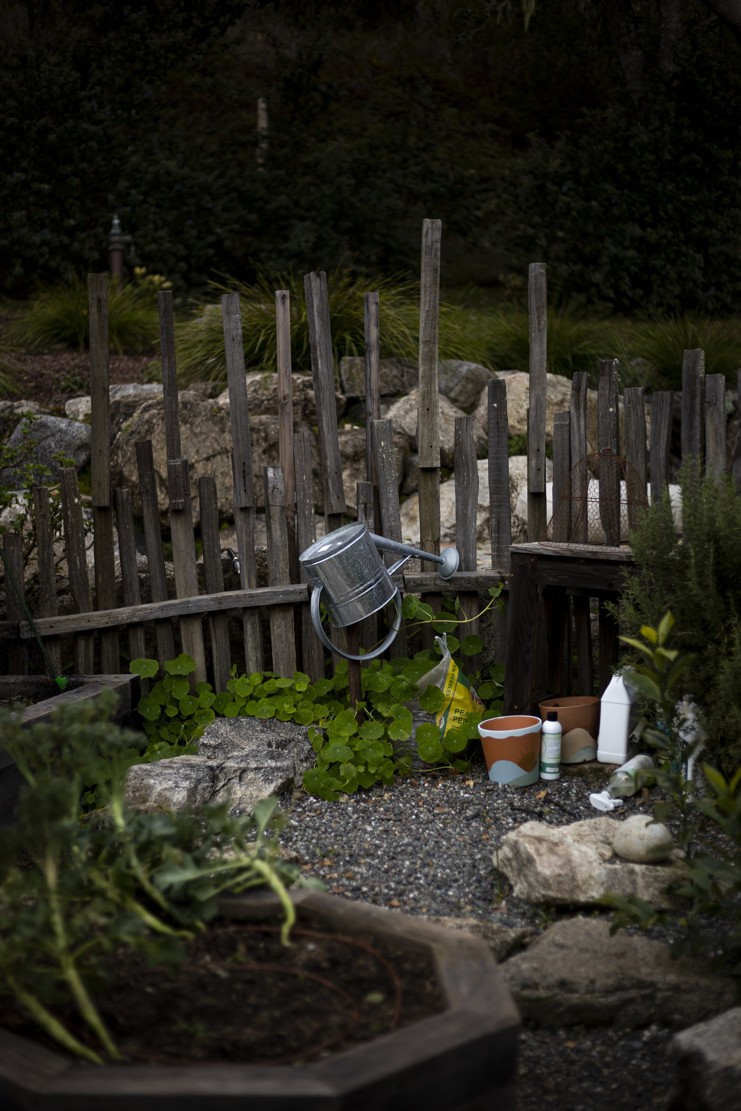SHUMAN_HOME-8.JPG