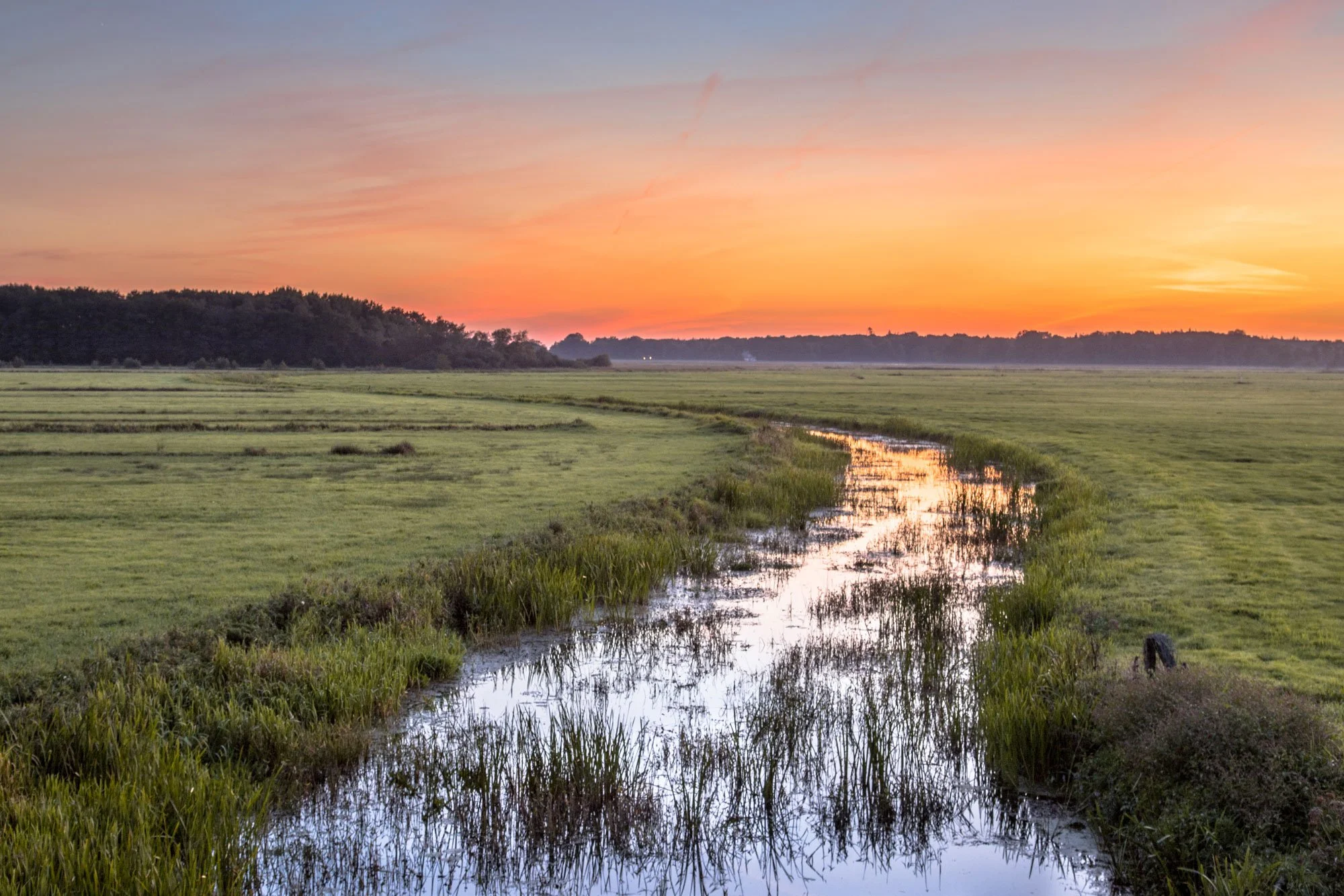 Sunset over a rural landscape with a stream running through grassy fields and a forest in the background.