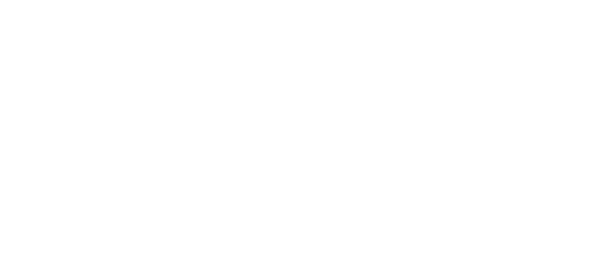 White Converse sneaker with black lace on a wooden floor