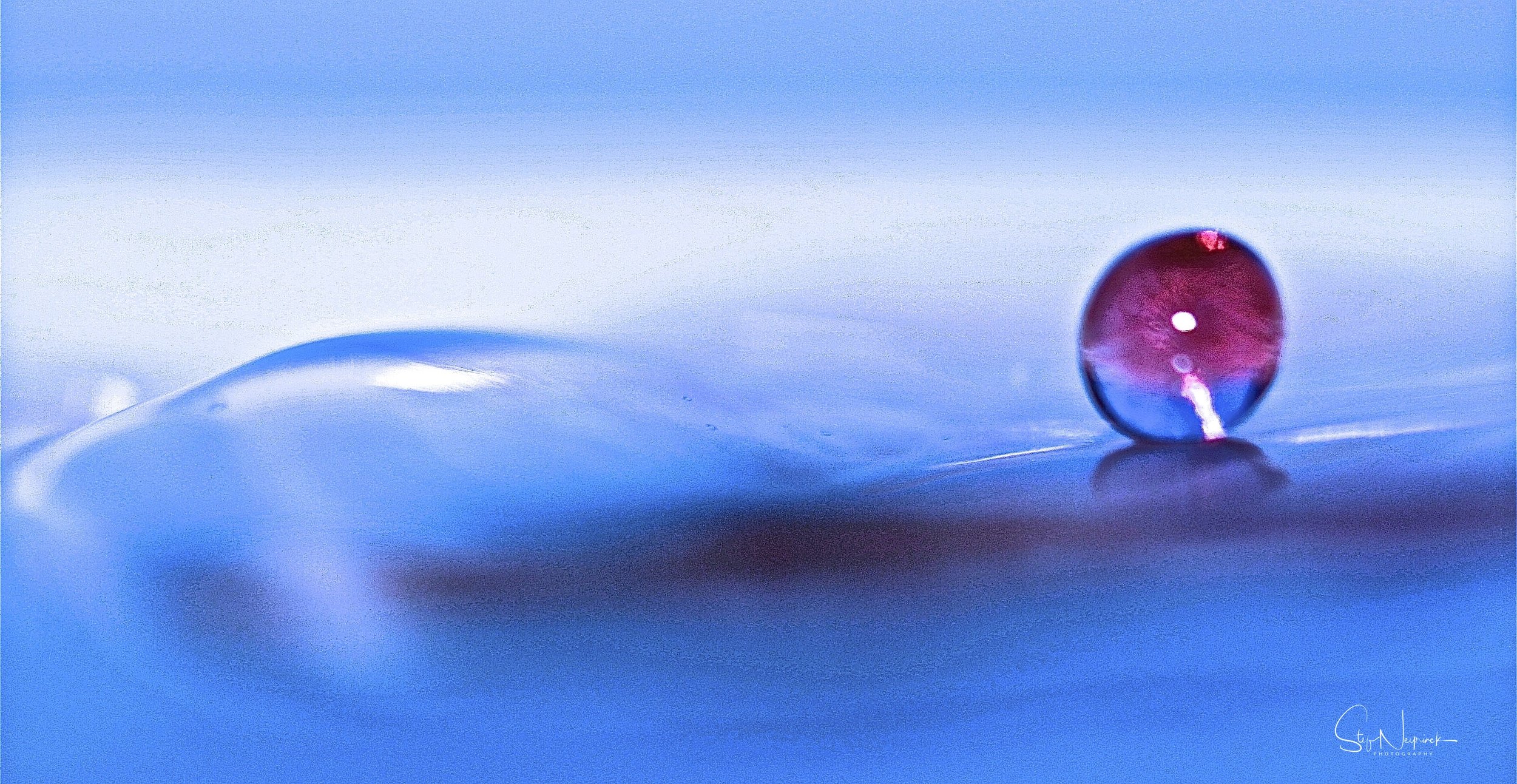 2010 DROPS 2 - versie 2.jpg