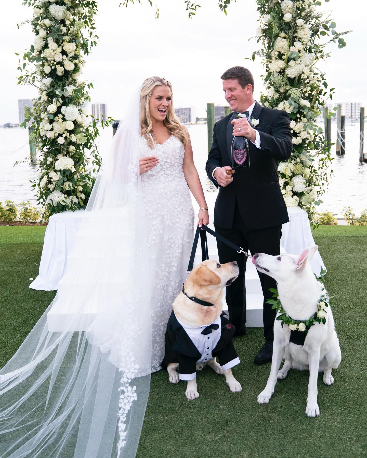 Happy National Dog Day! At Paul Morse Studios, we love a good day story and we have plenty to share! From helping their 
&ldquo;Pawrents&rdquo; tie the knot to being the life of an engagement shoot to being named King and Queen of Barkus. Let us know