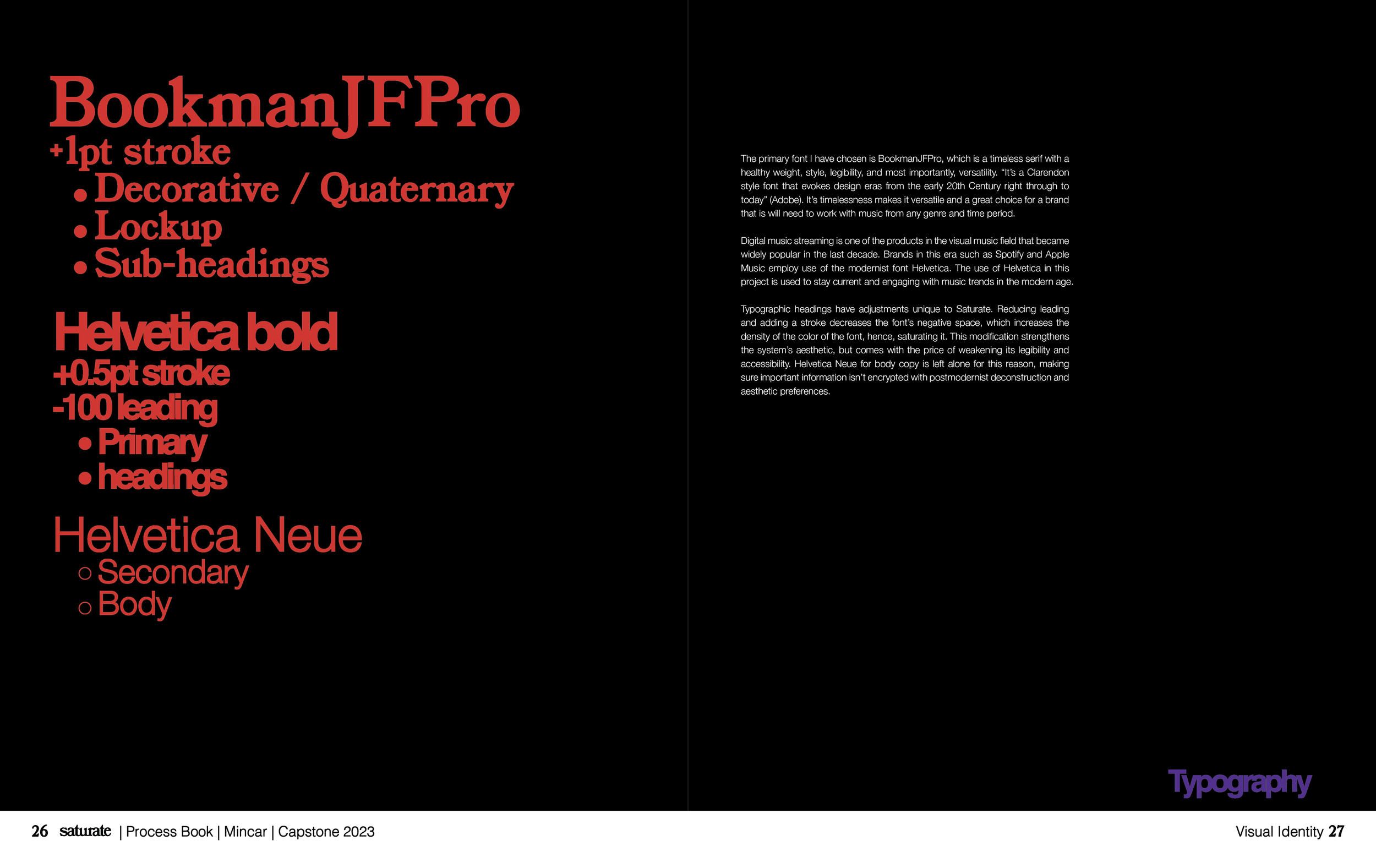 Saturate ProcessBook Spreads-19.png