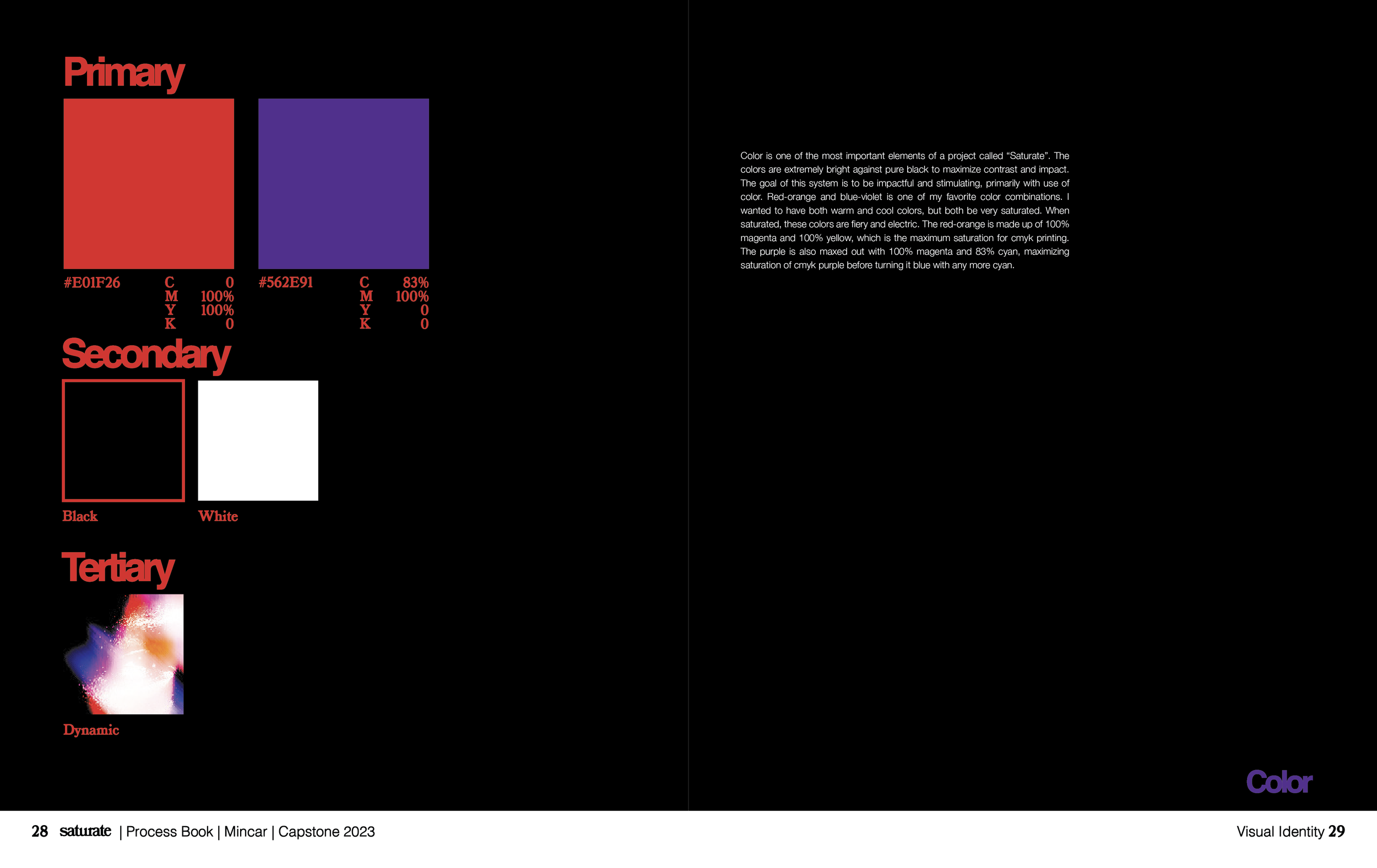 Saturate ProcessBook Spreads-20.png