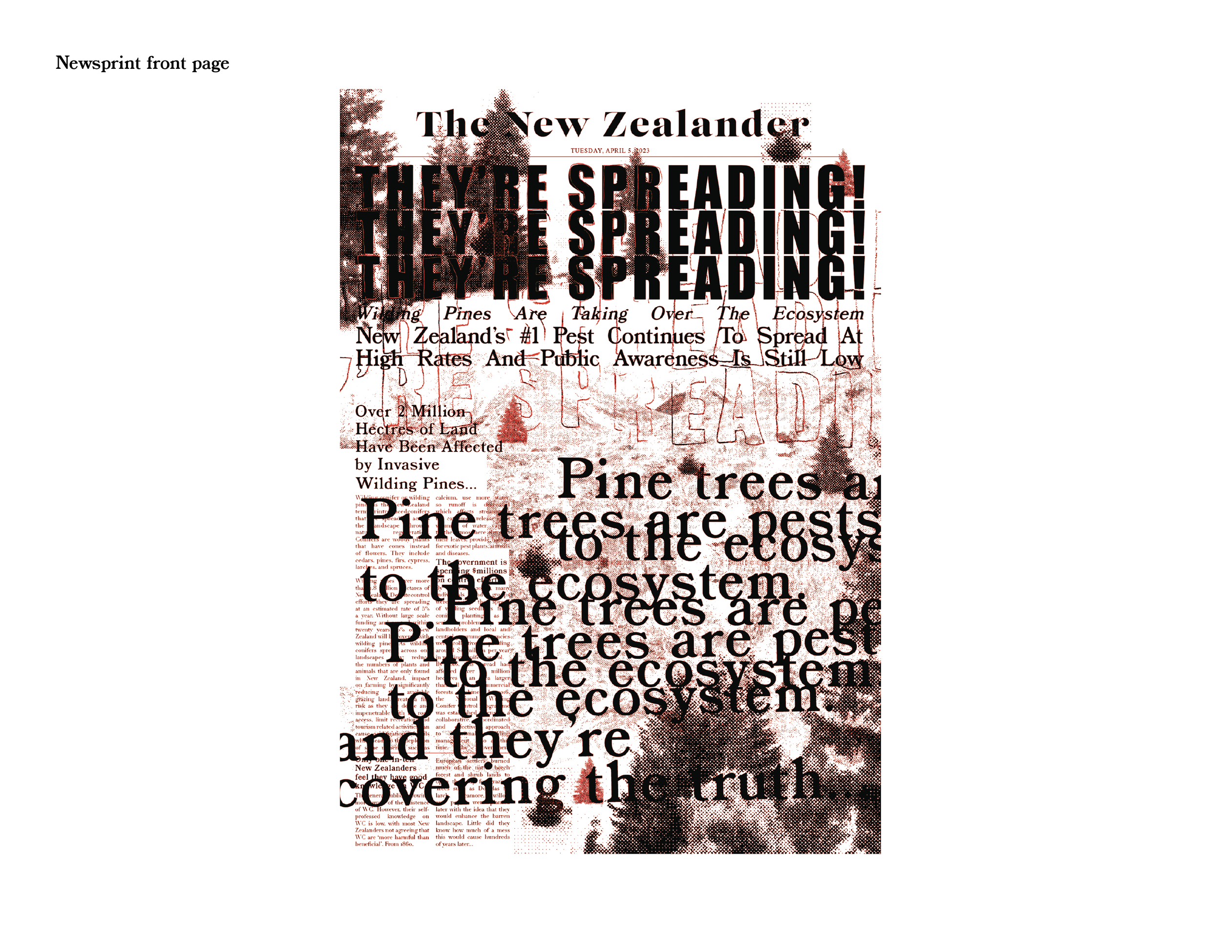 PinesArePest.ProcessBook-80.png