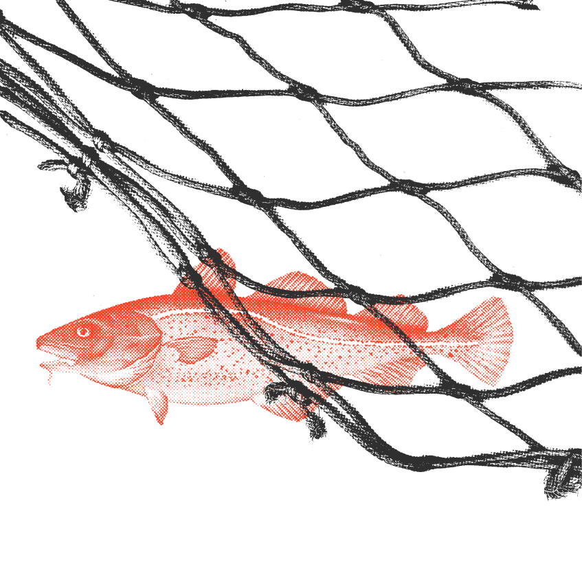 Net Works - Creative Screen Printing - 2024