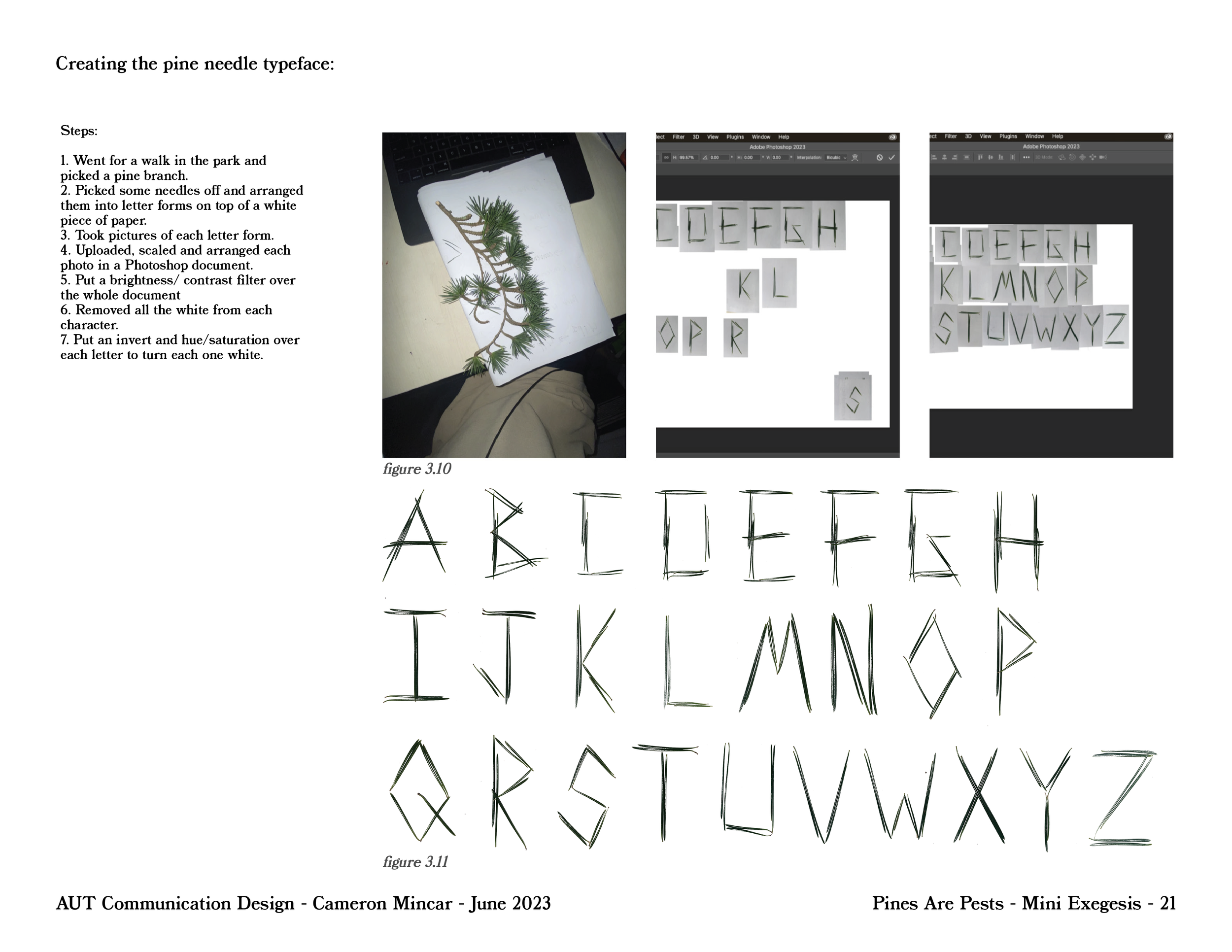 PinesArePest.ProcessBook-30.png