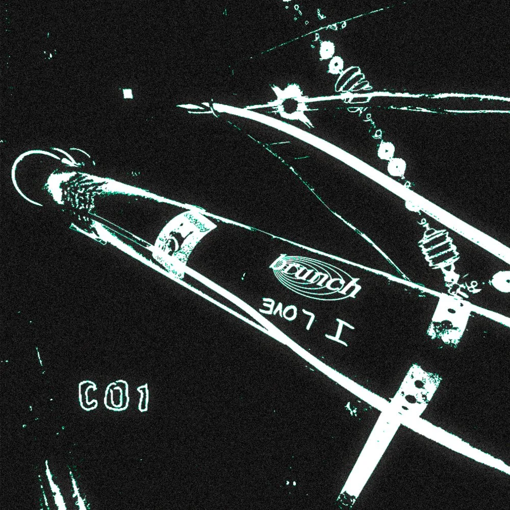 co1 live-9.jpg