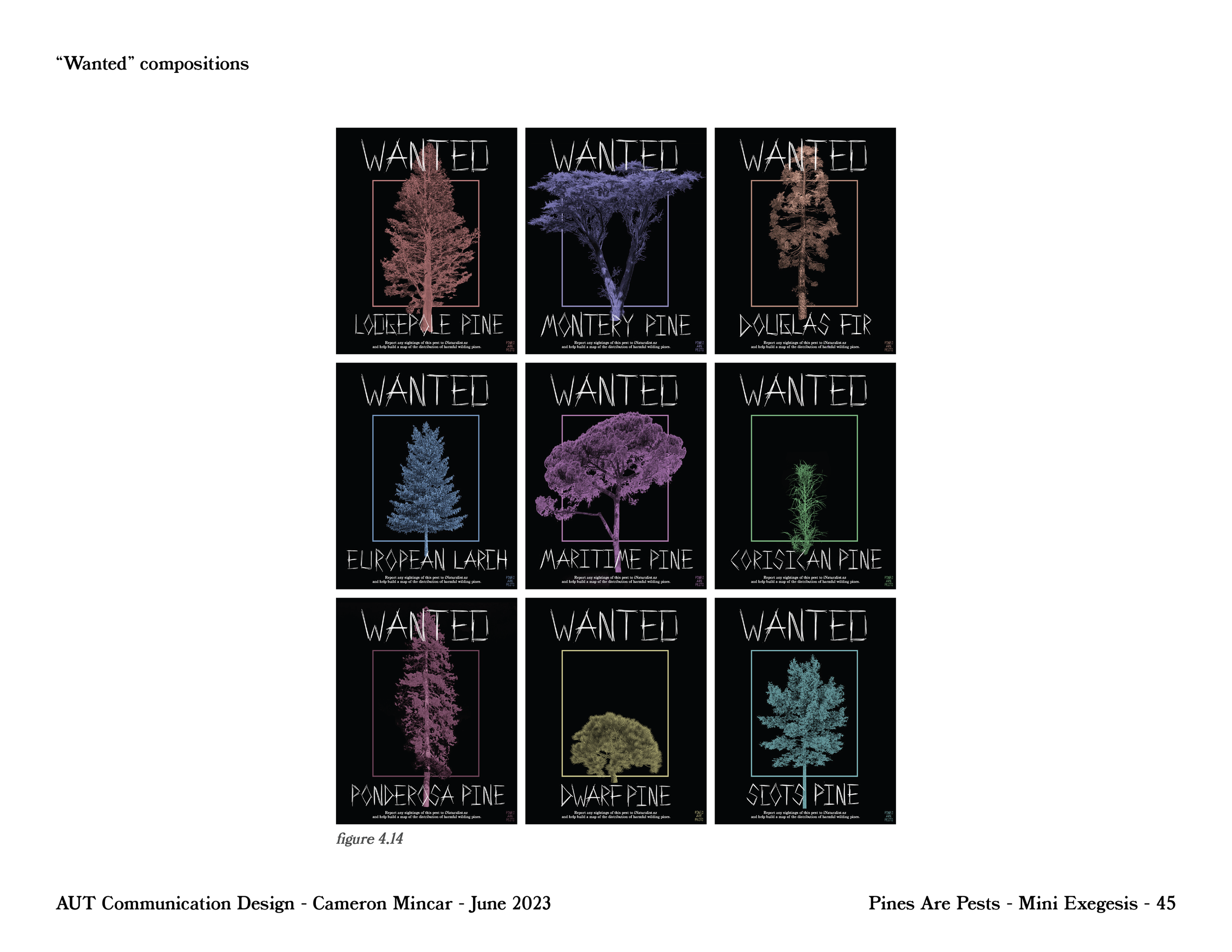 PinesArePest.ProcessBook-54.png