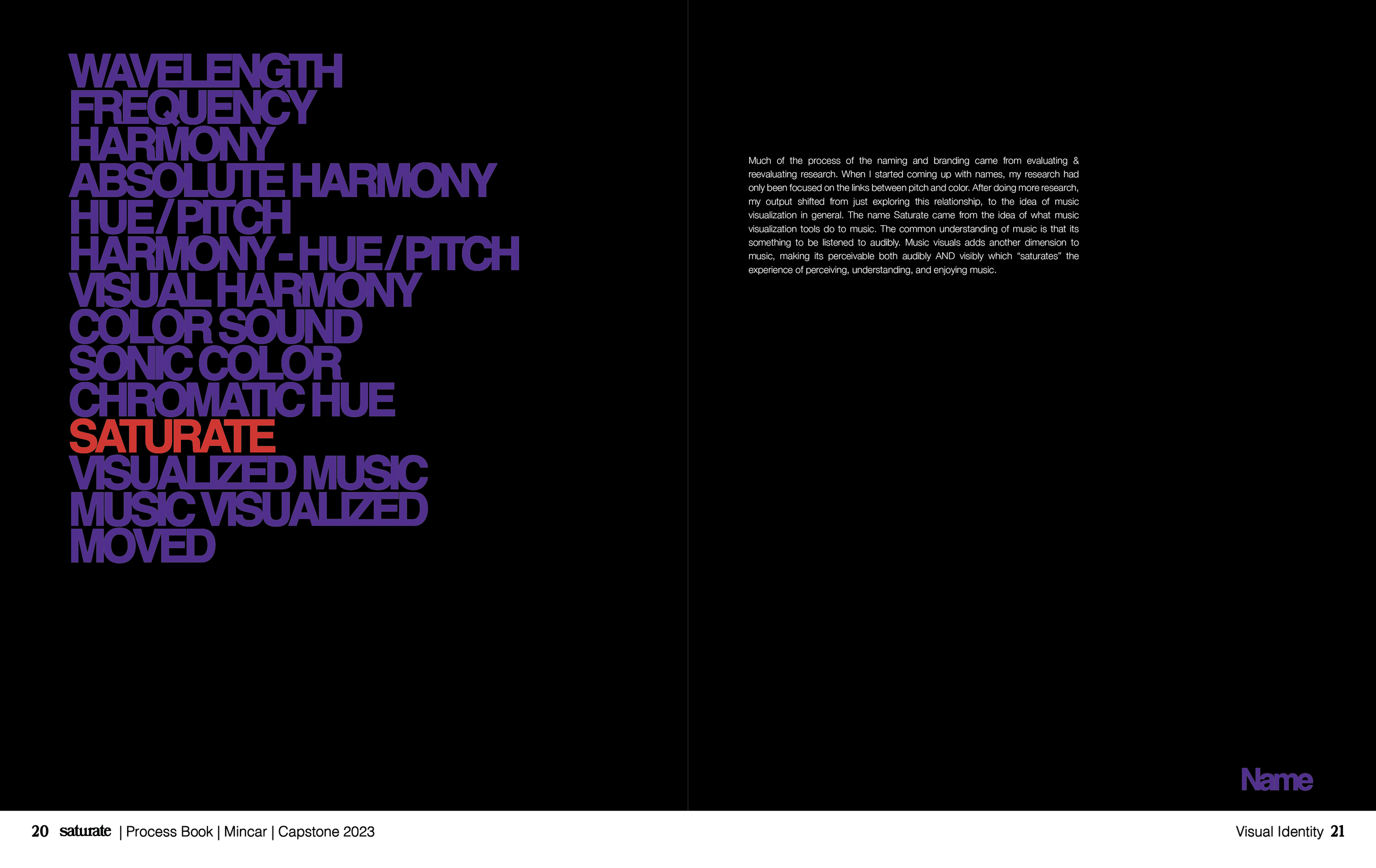 Saturate ProcessBook Spreads-16.png