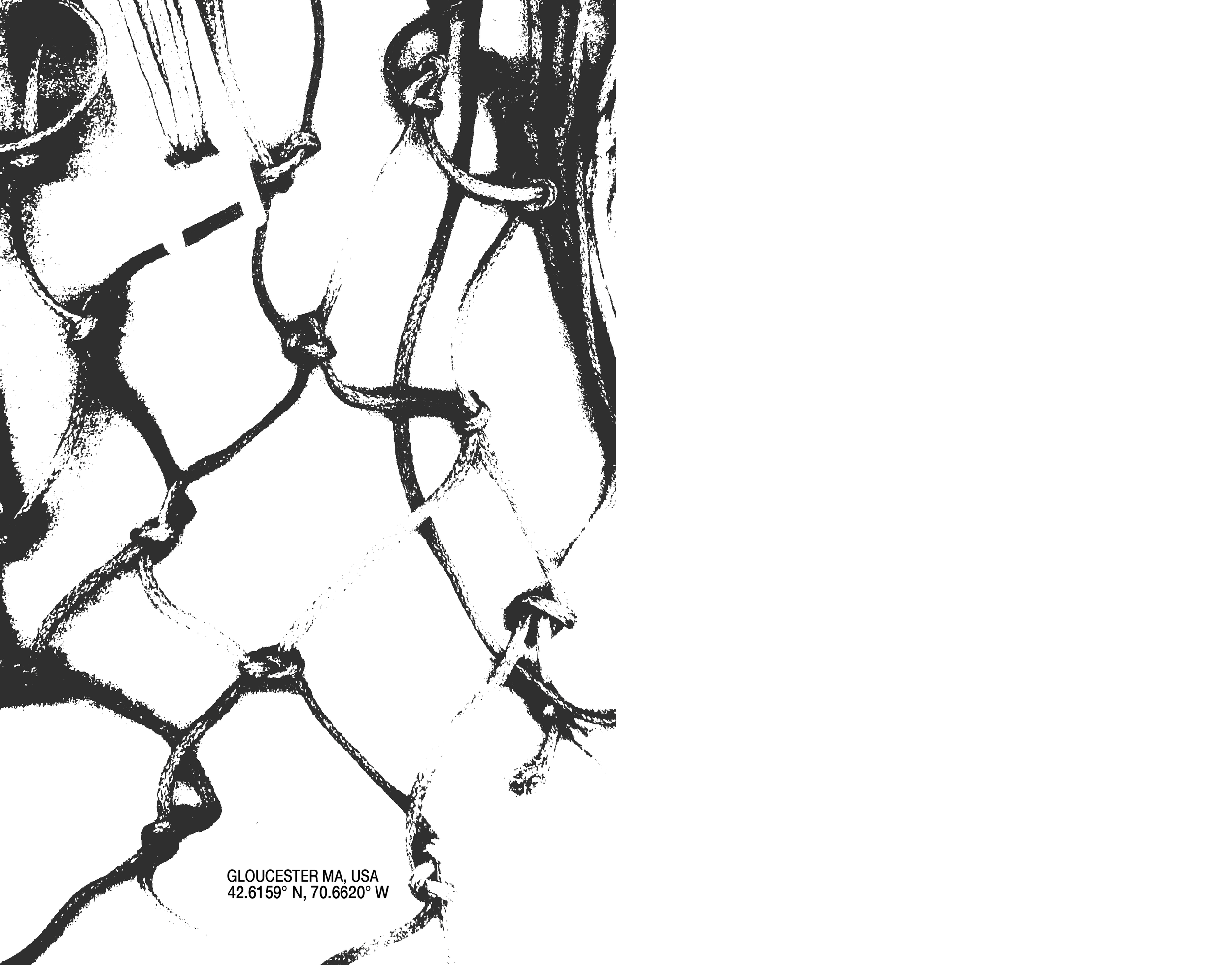 The Net Zine (spreads)-14.png