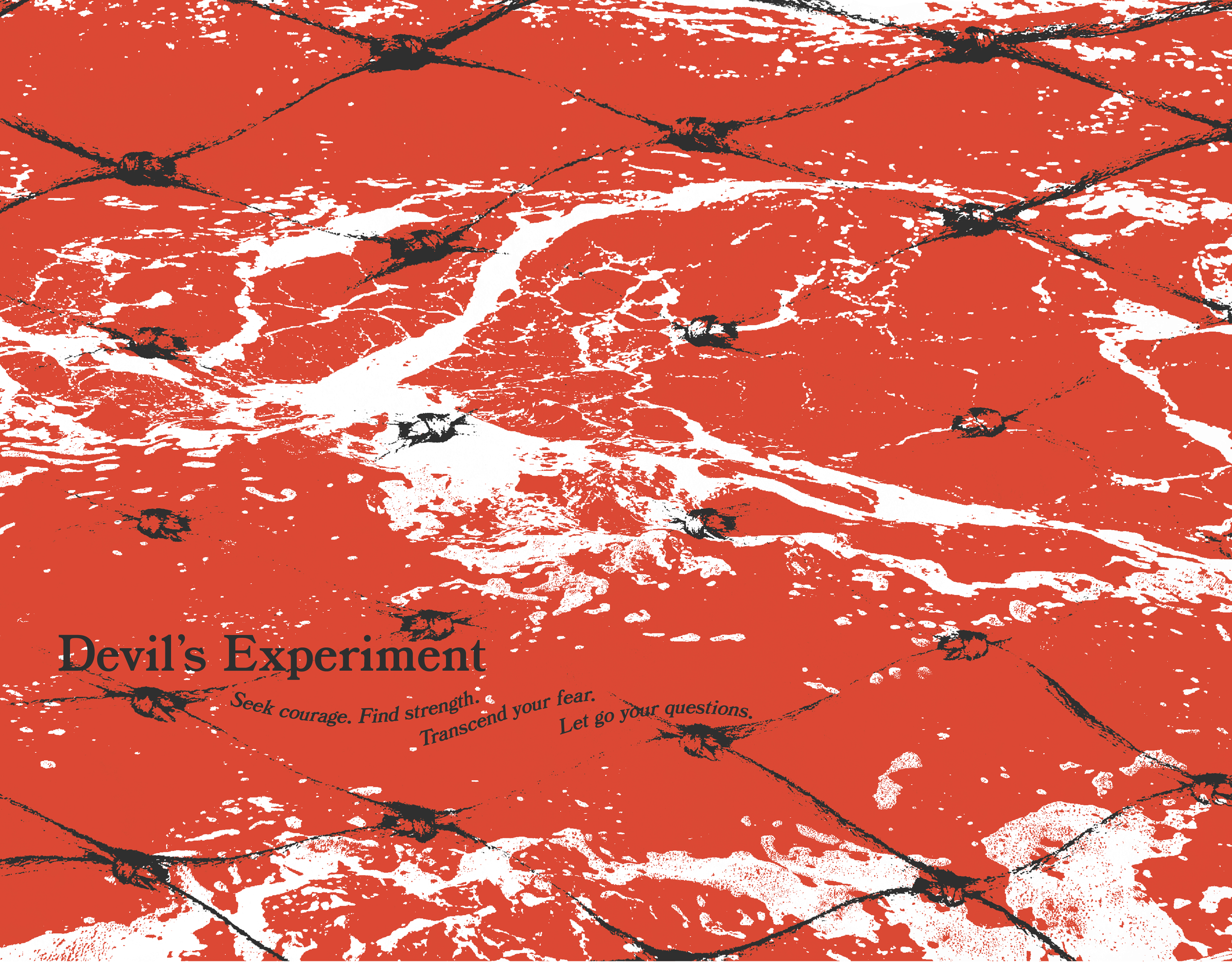 The Net Zine (spreads)-06.png