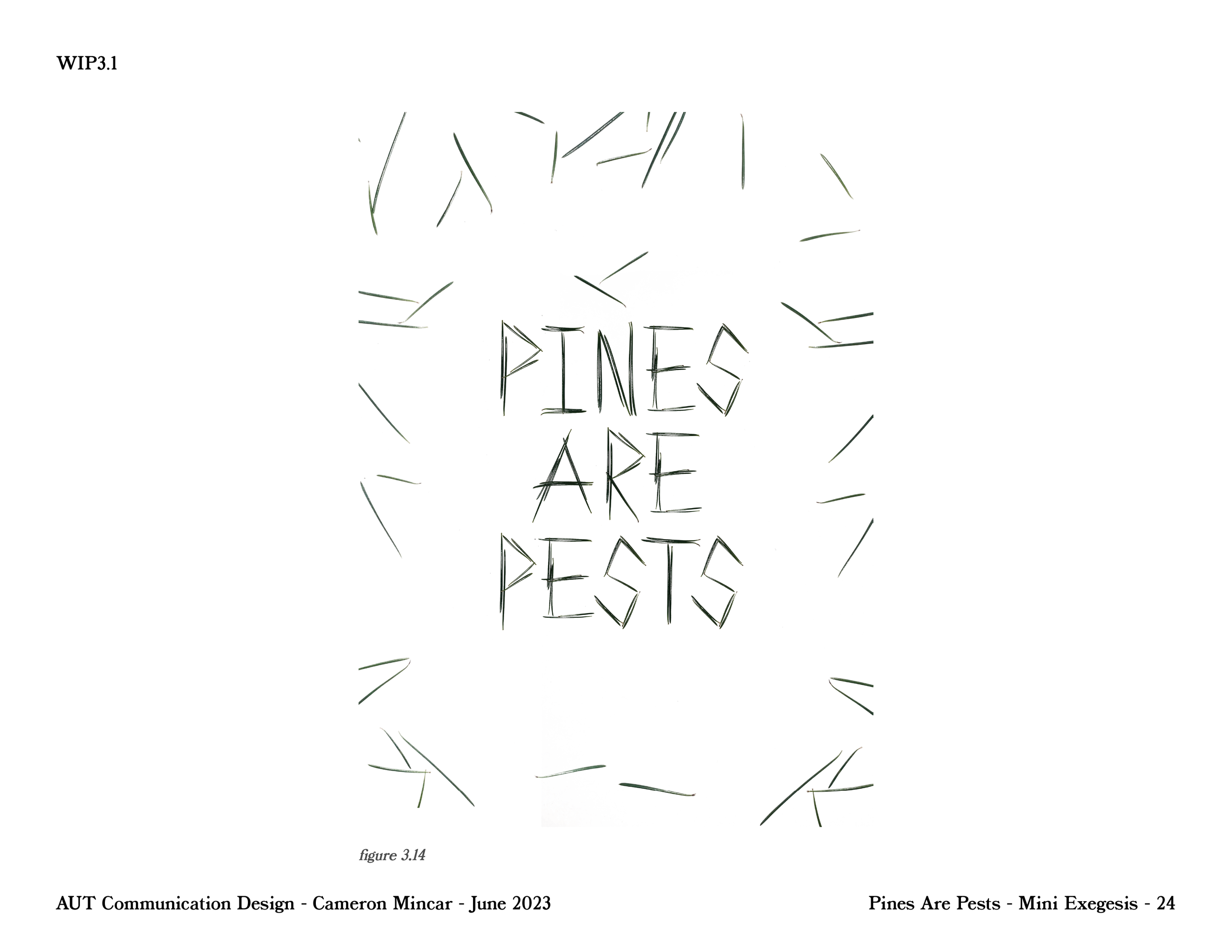 PinesArePest.ProcessBook-33.png