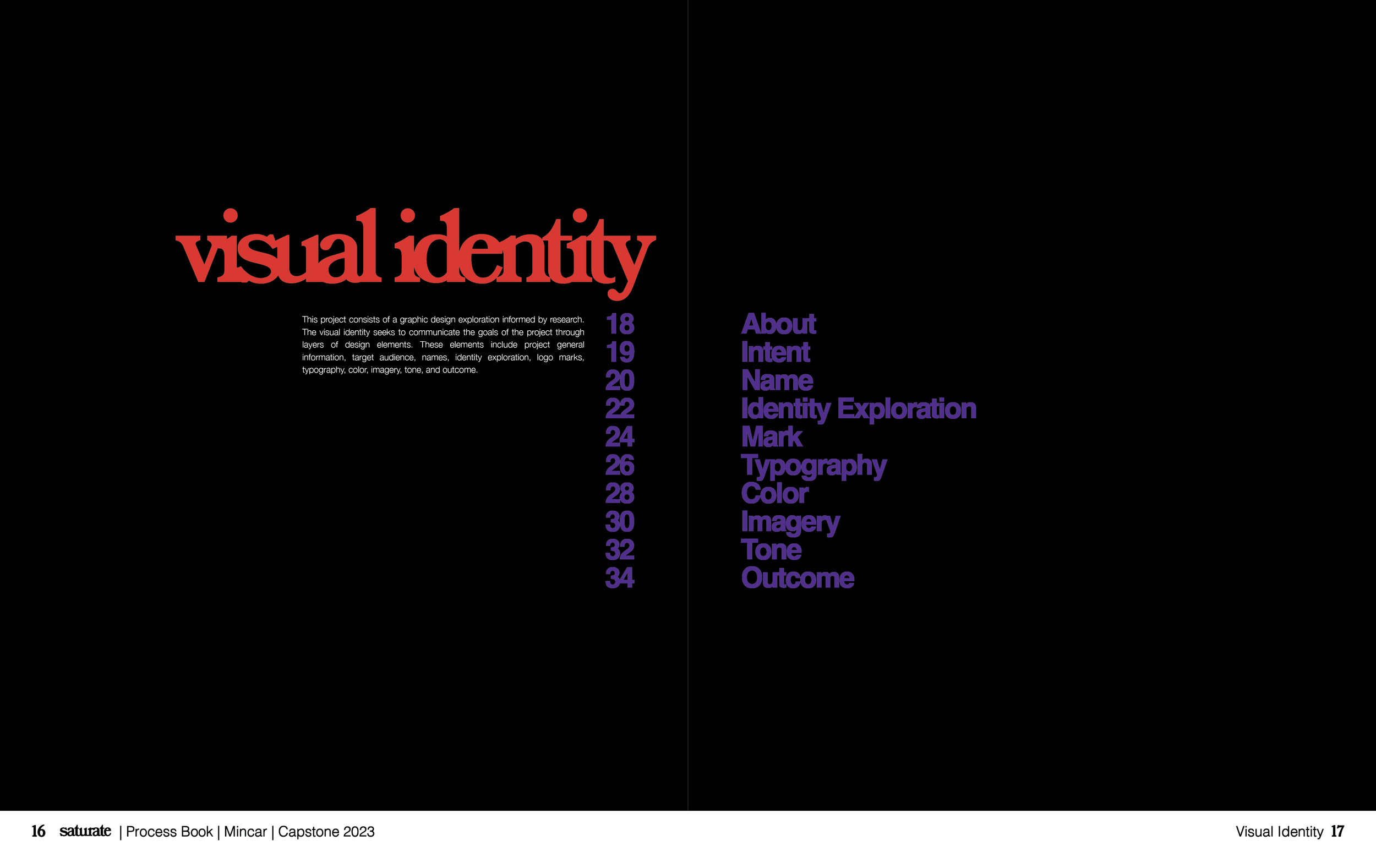 Saturate ProcessBook Spreads-14.png
