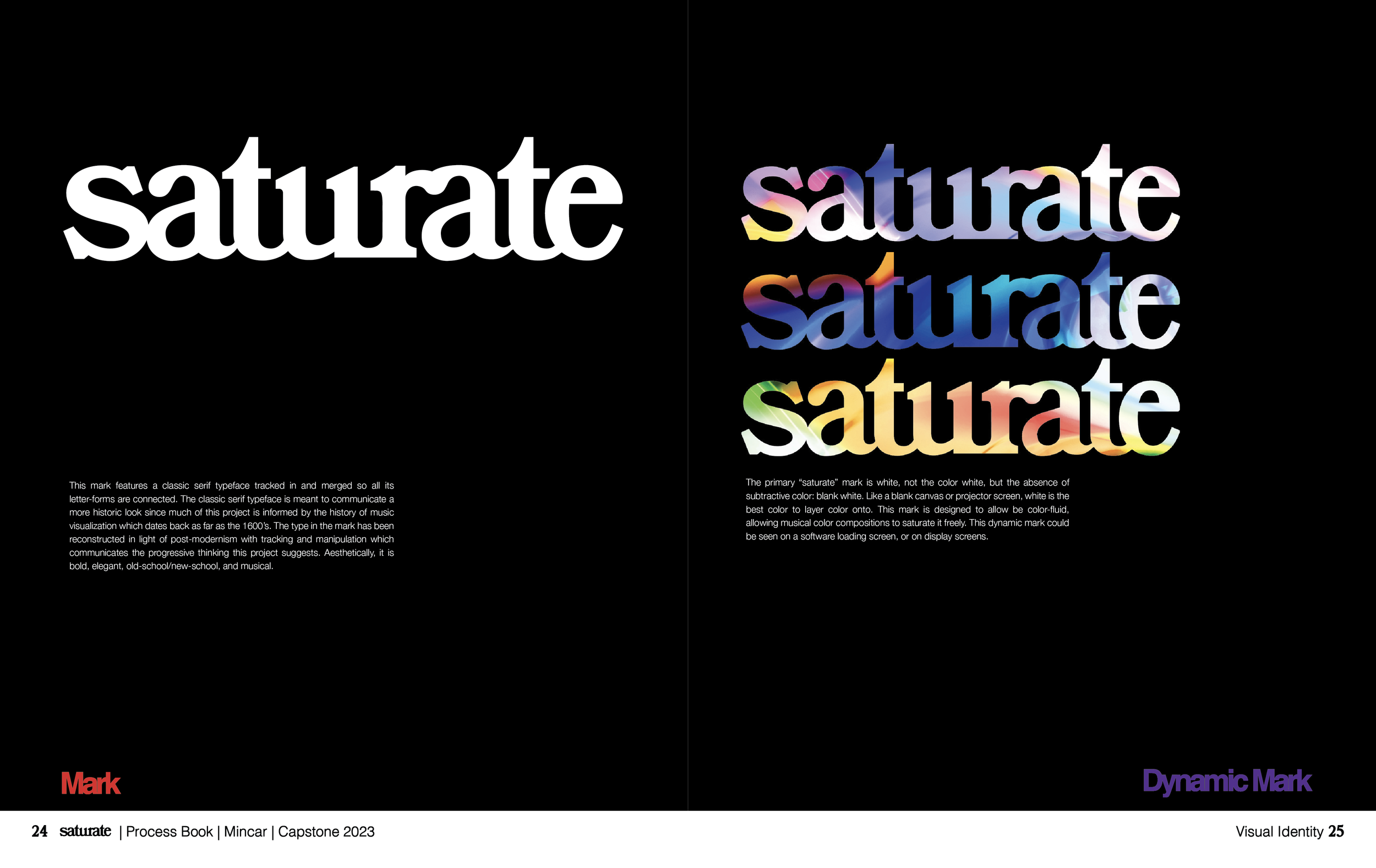 Saturate ProcessBook Spreads-18.png