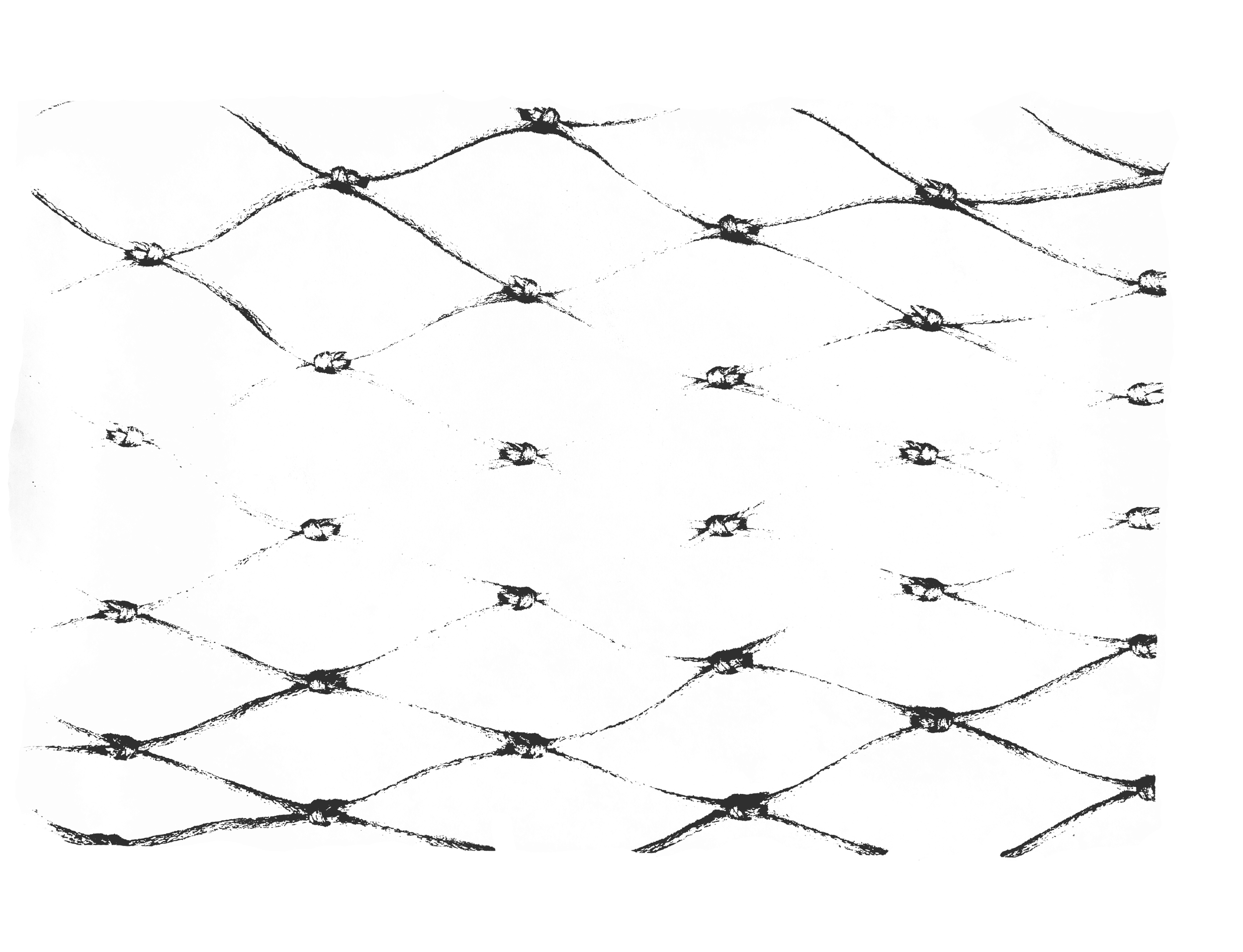 TransparenciesDigital.5.png