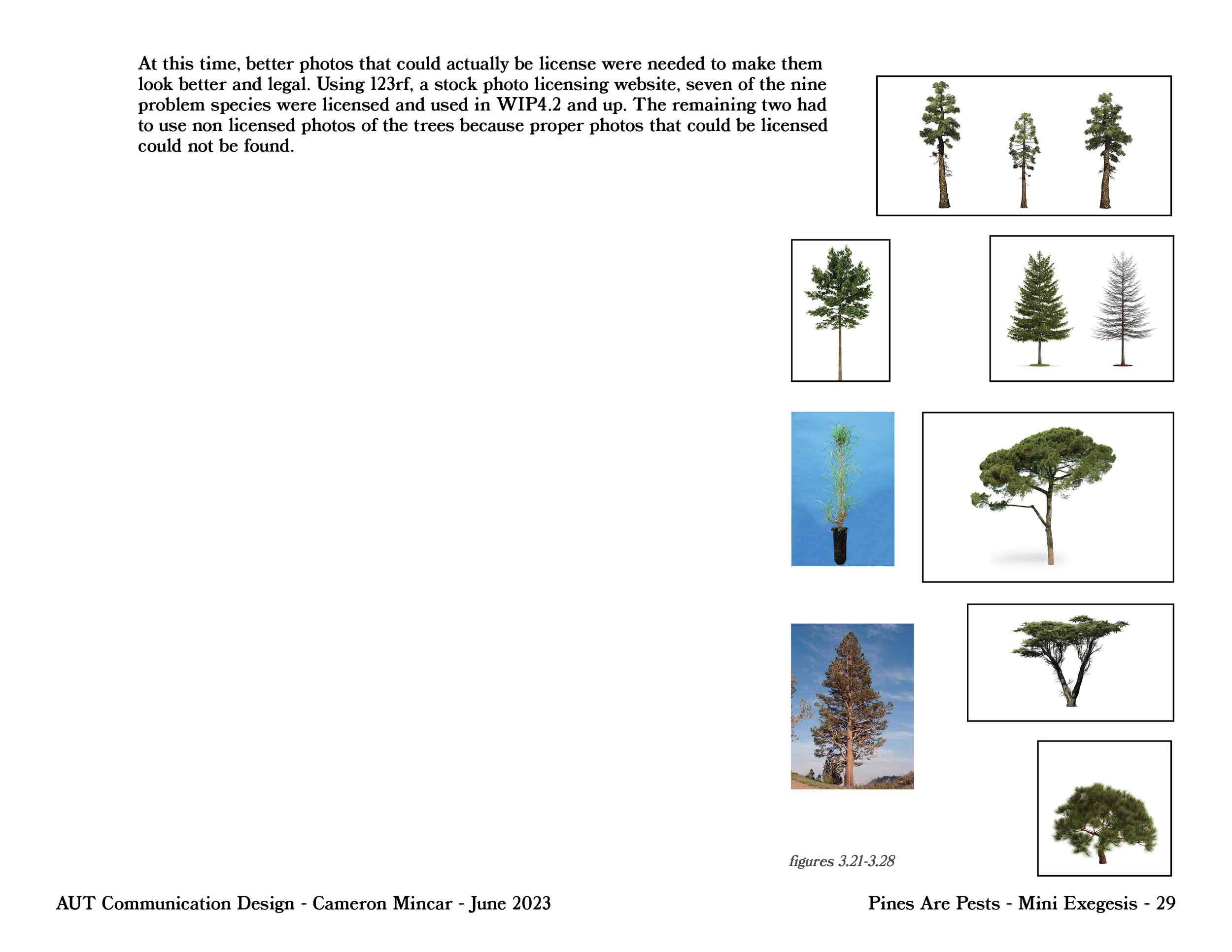 PinesArePest.ProcessBook-38.png