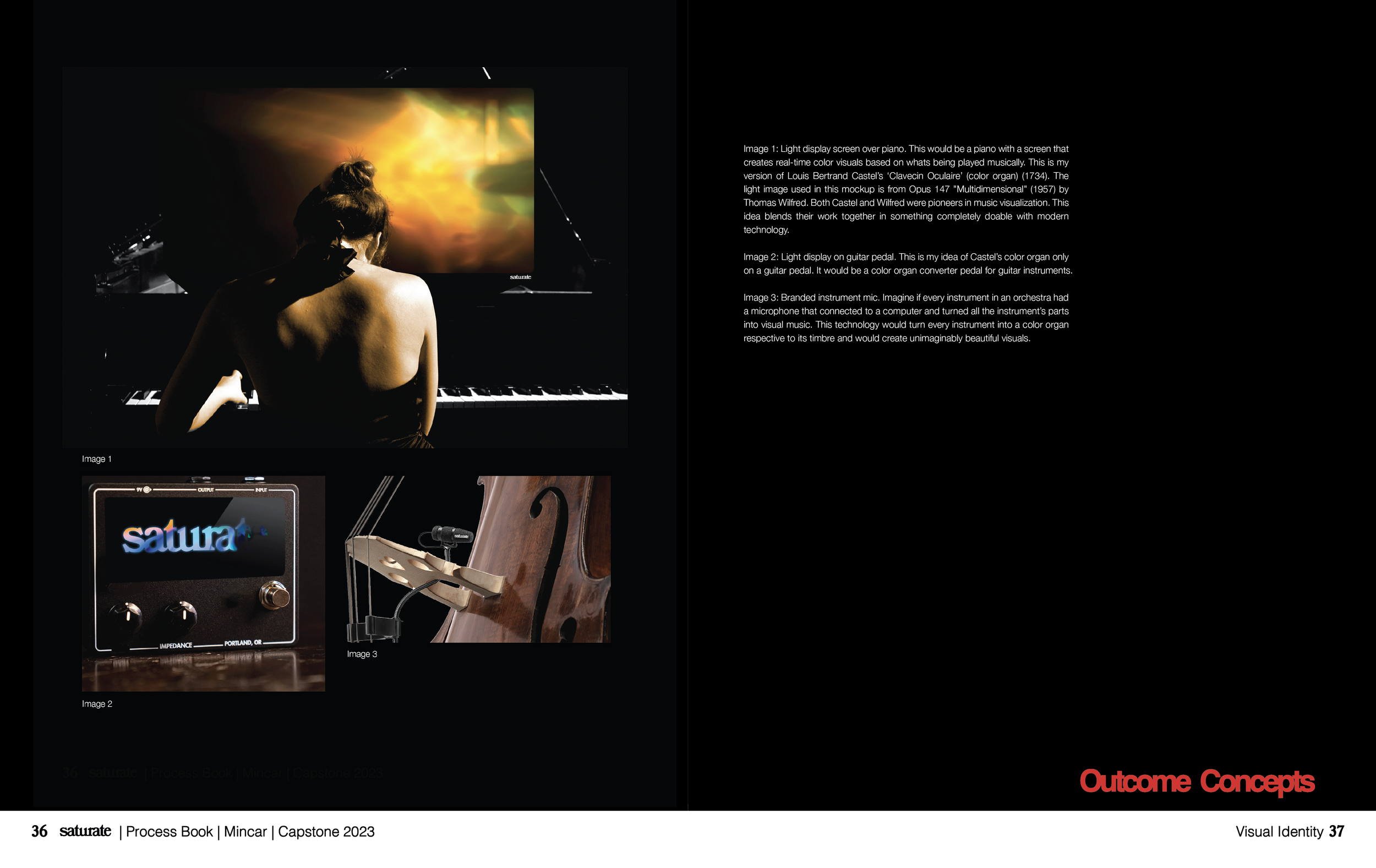 Saturate ProcessBook Spreads-24.png